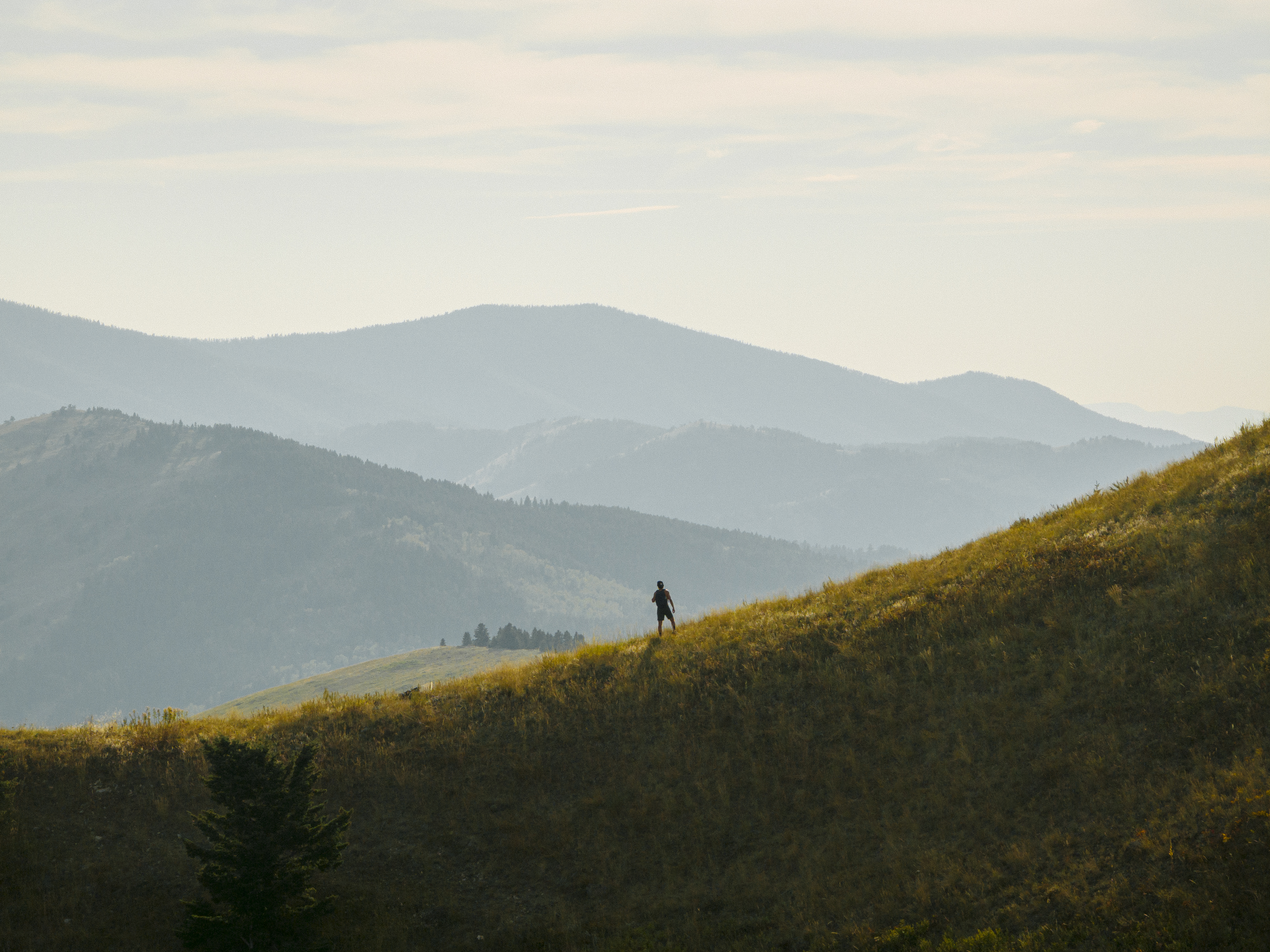 Photo of Montana