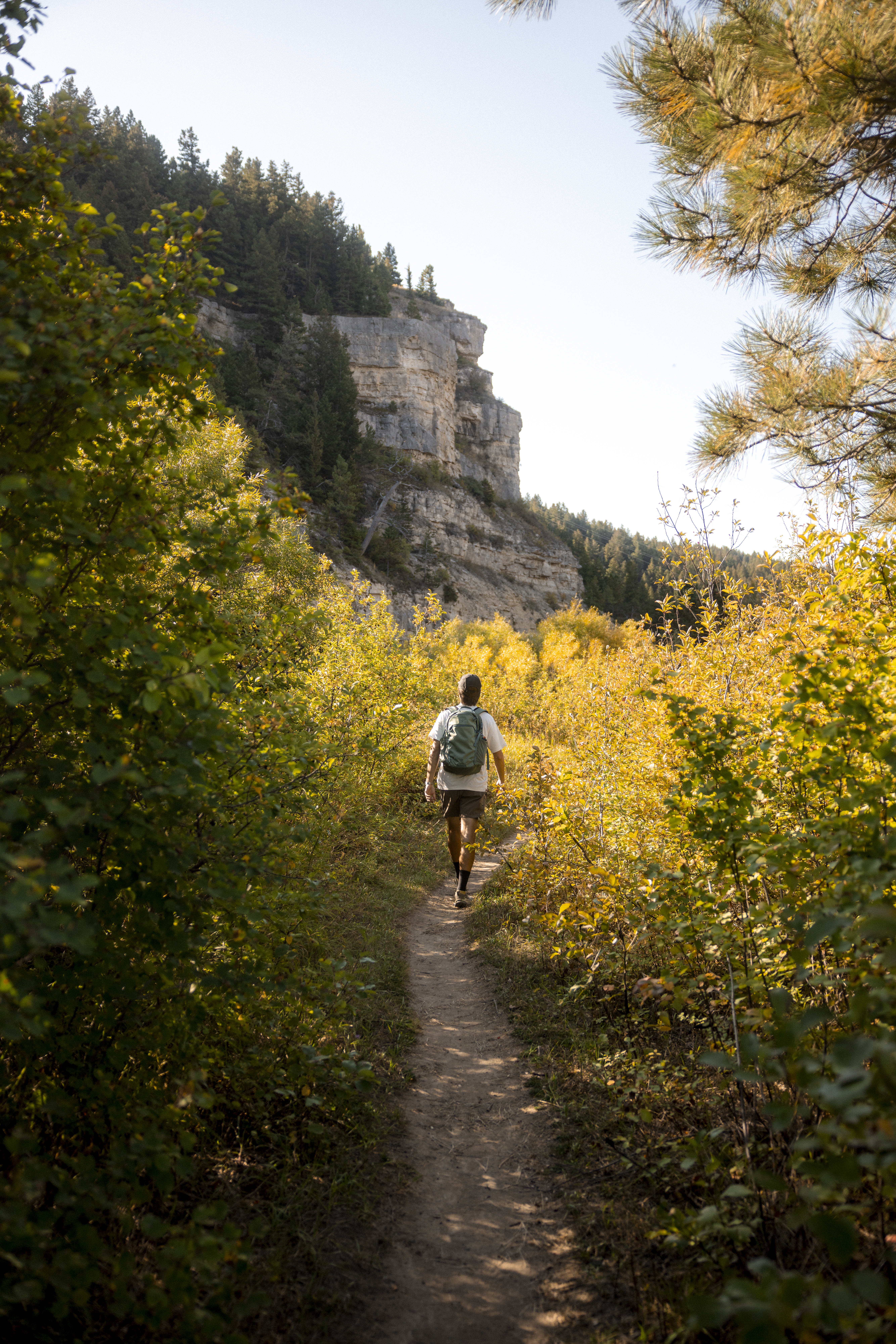 Photo of Montana