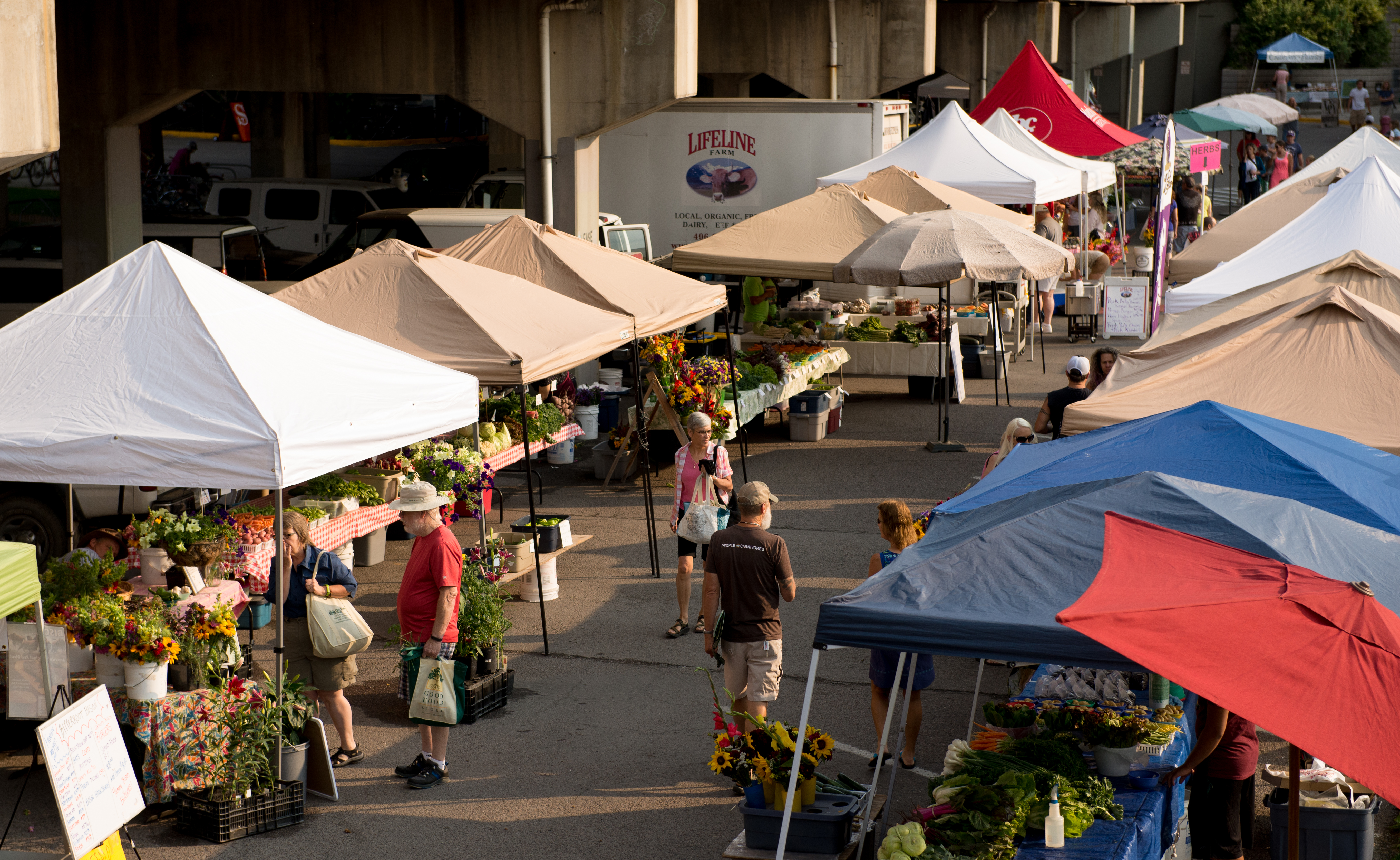 Farmers Markets Rooted in Montana