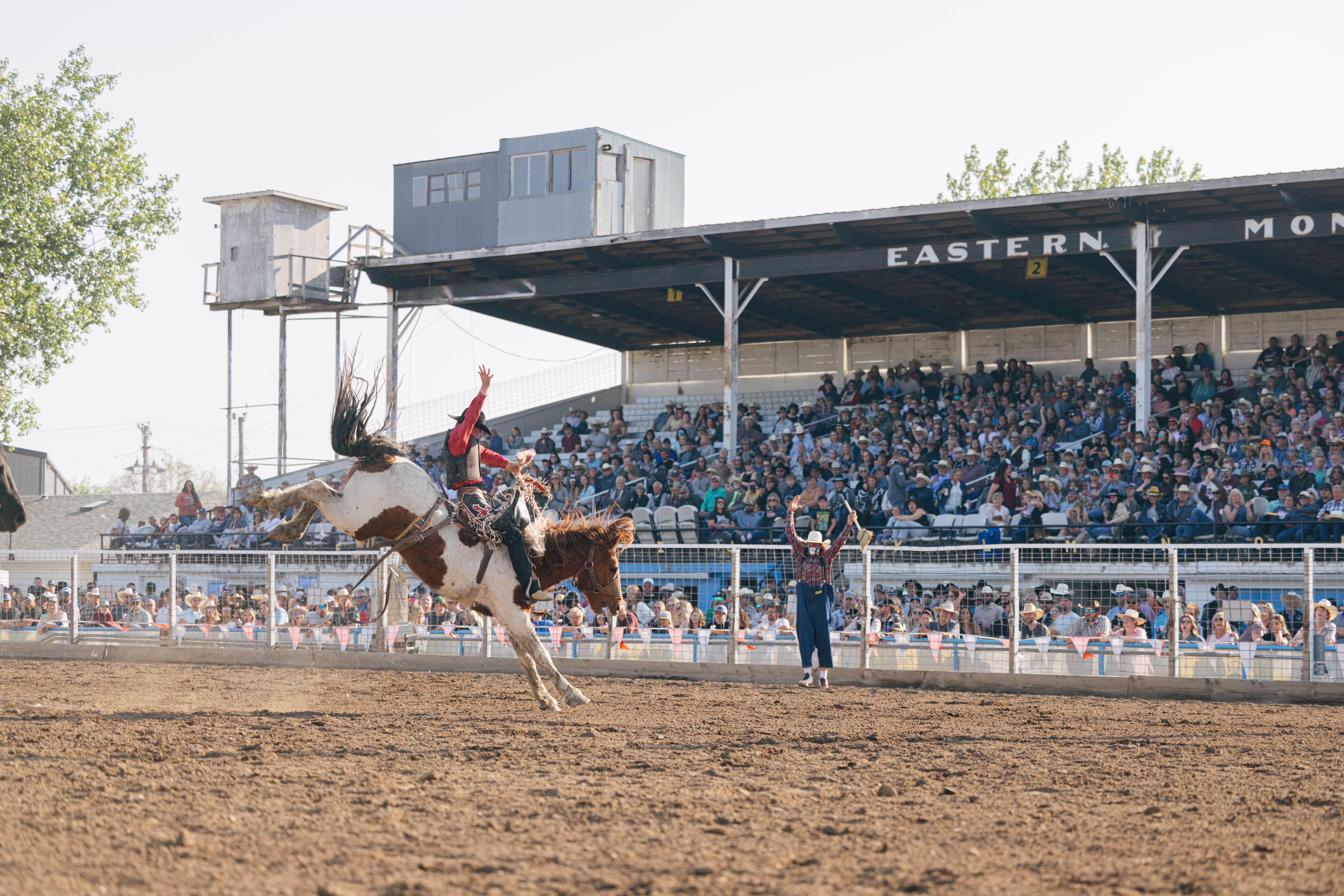 Last Best Rodeos Are in Montana