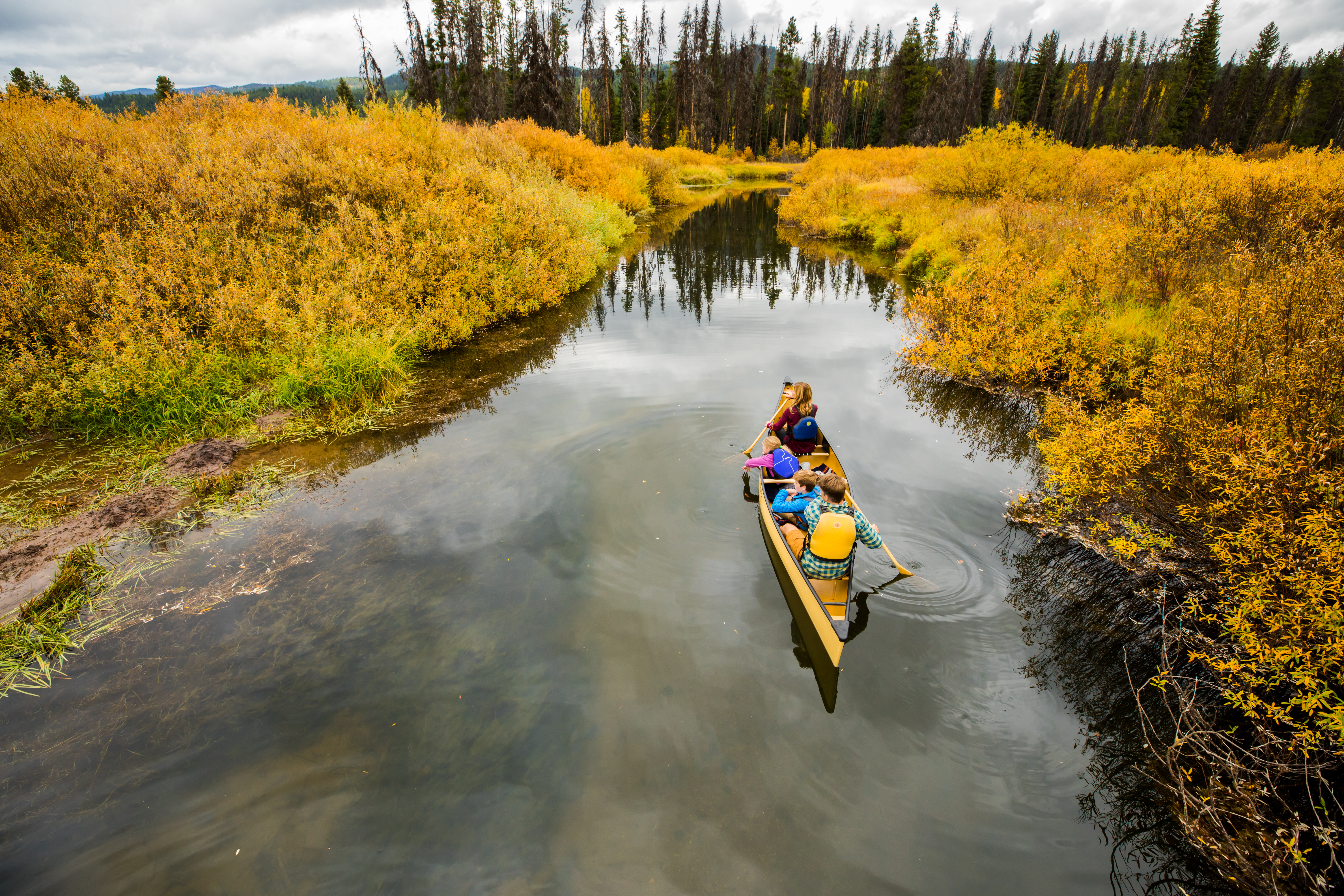 Photo of Montana