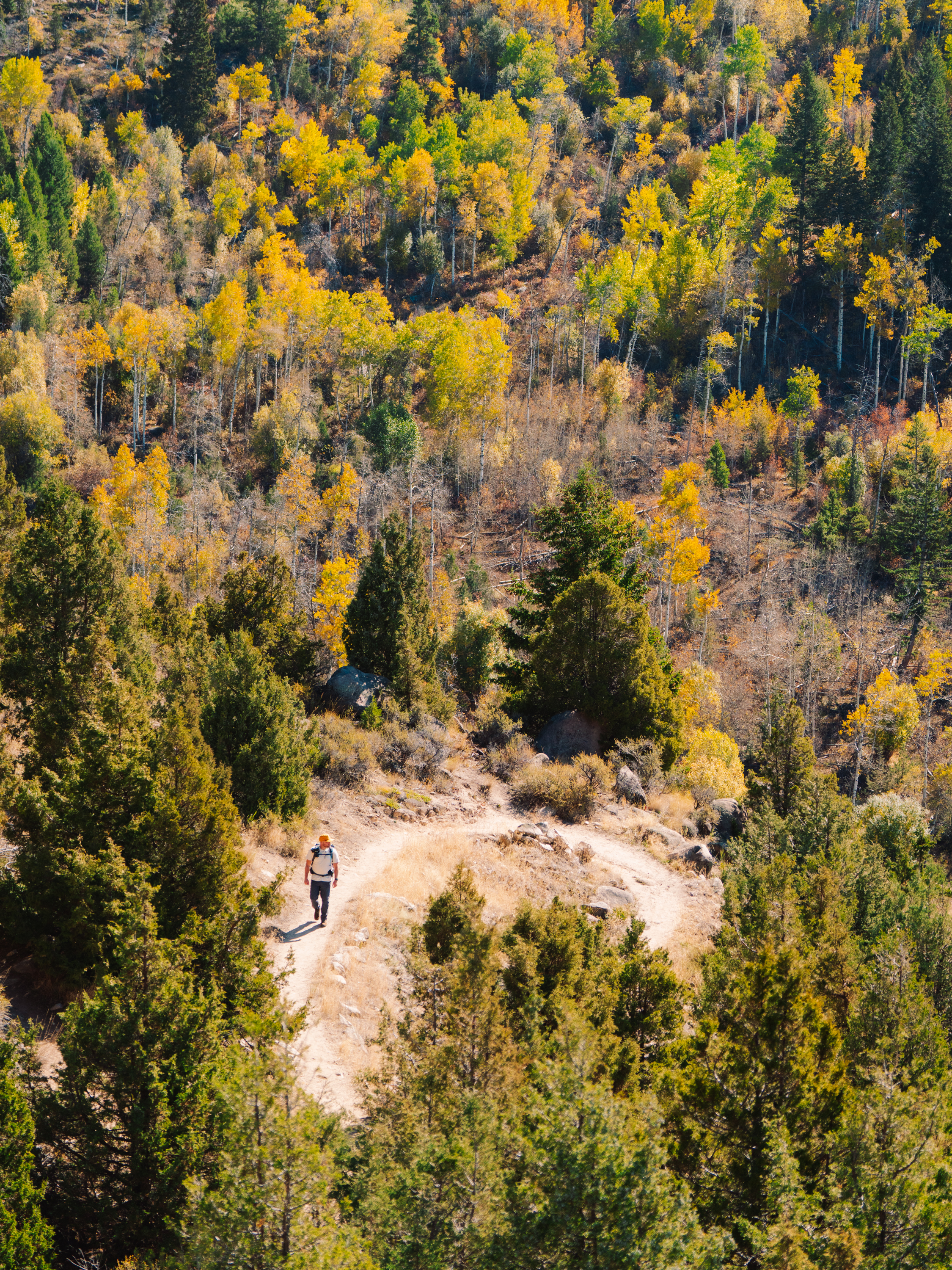 Photo of Montana