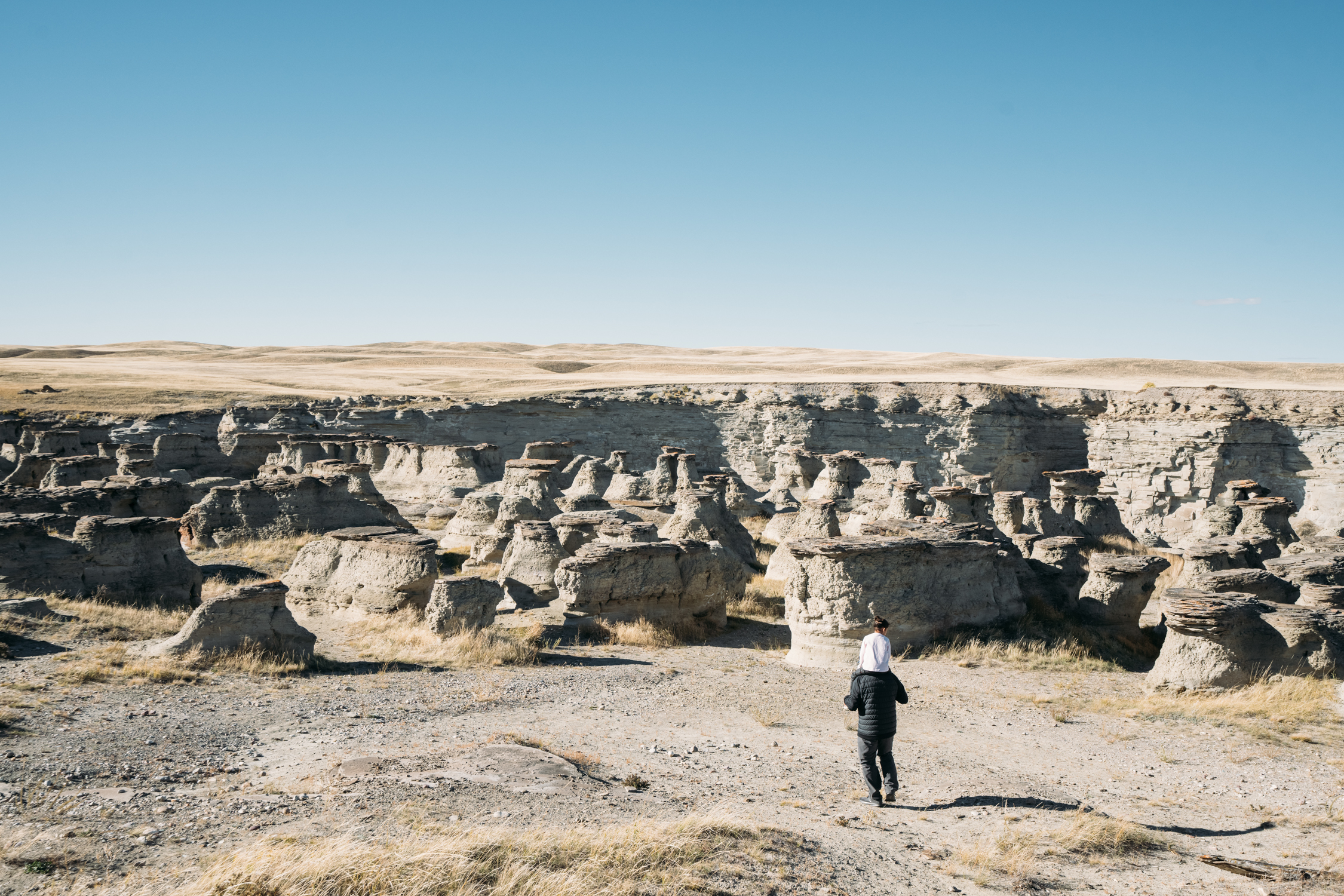Photo of Montana