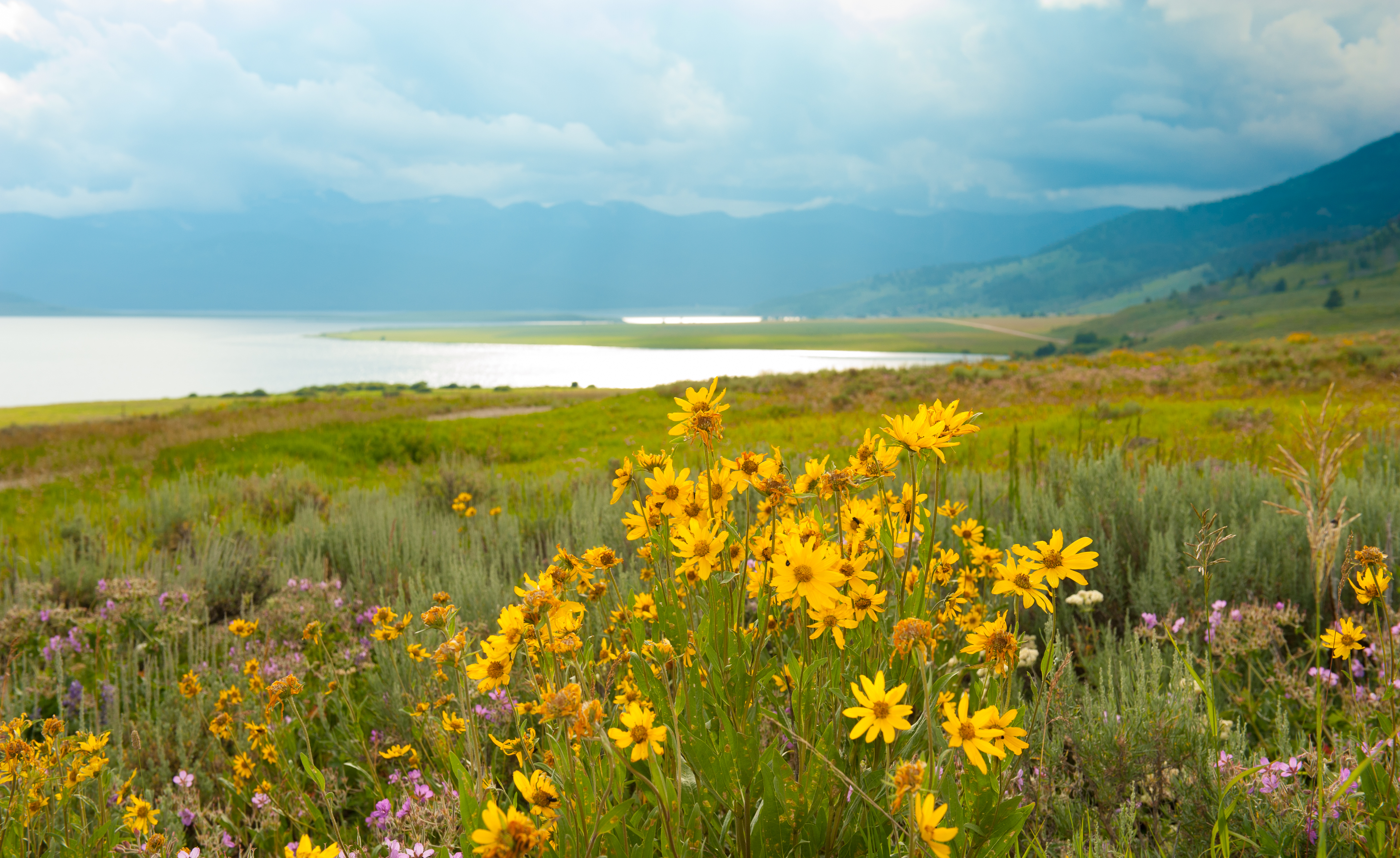 Photo of Montana