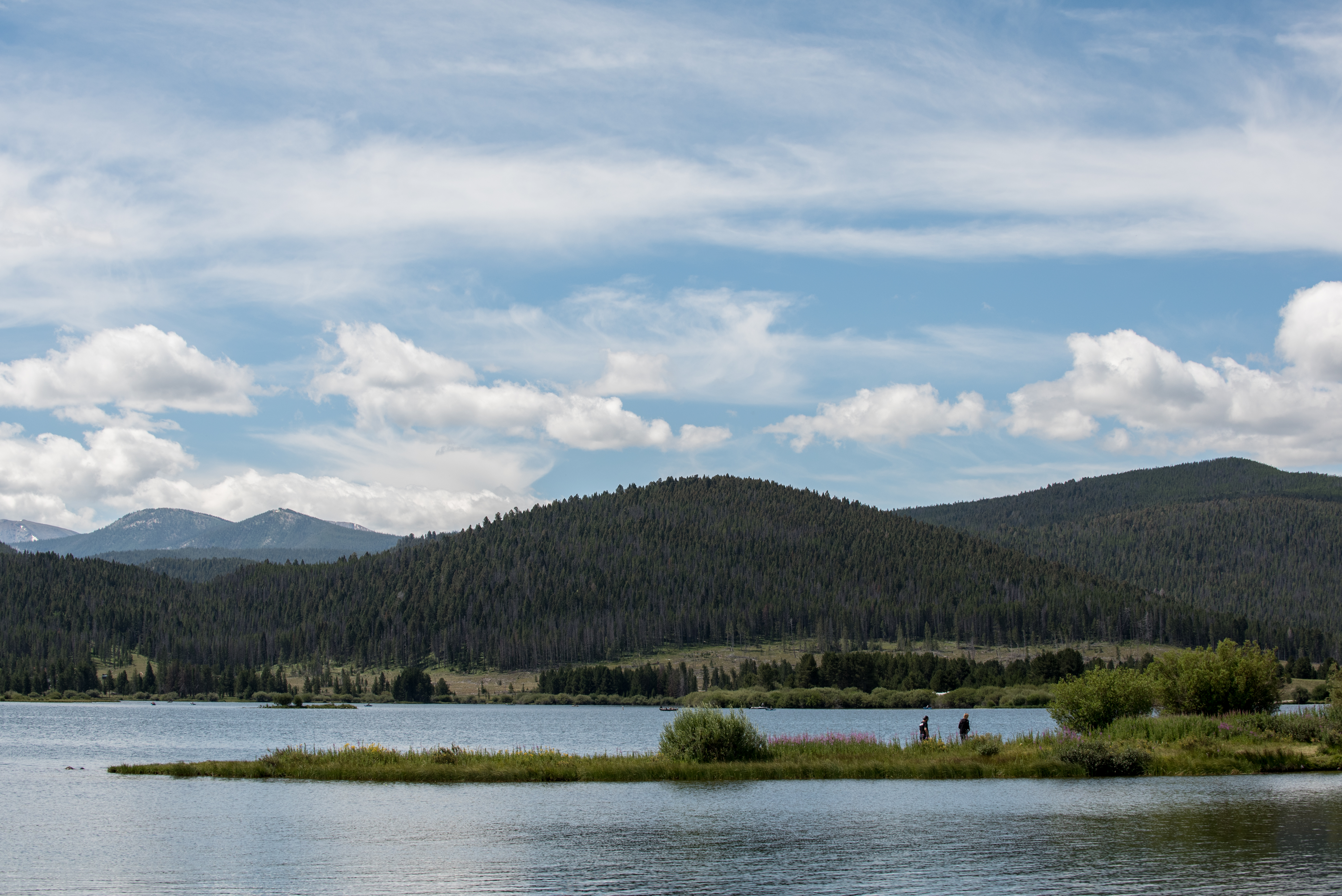 Photo of Montana