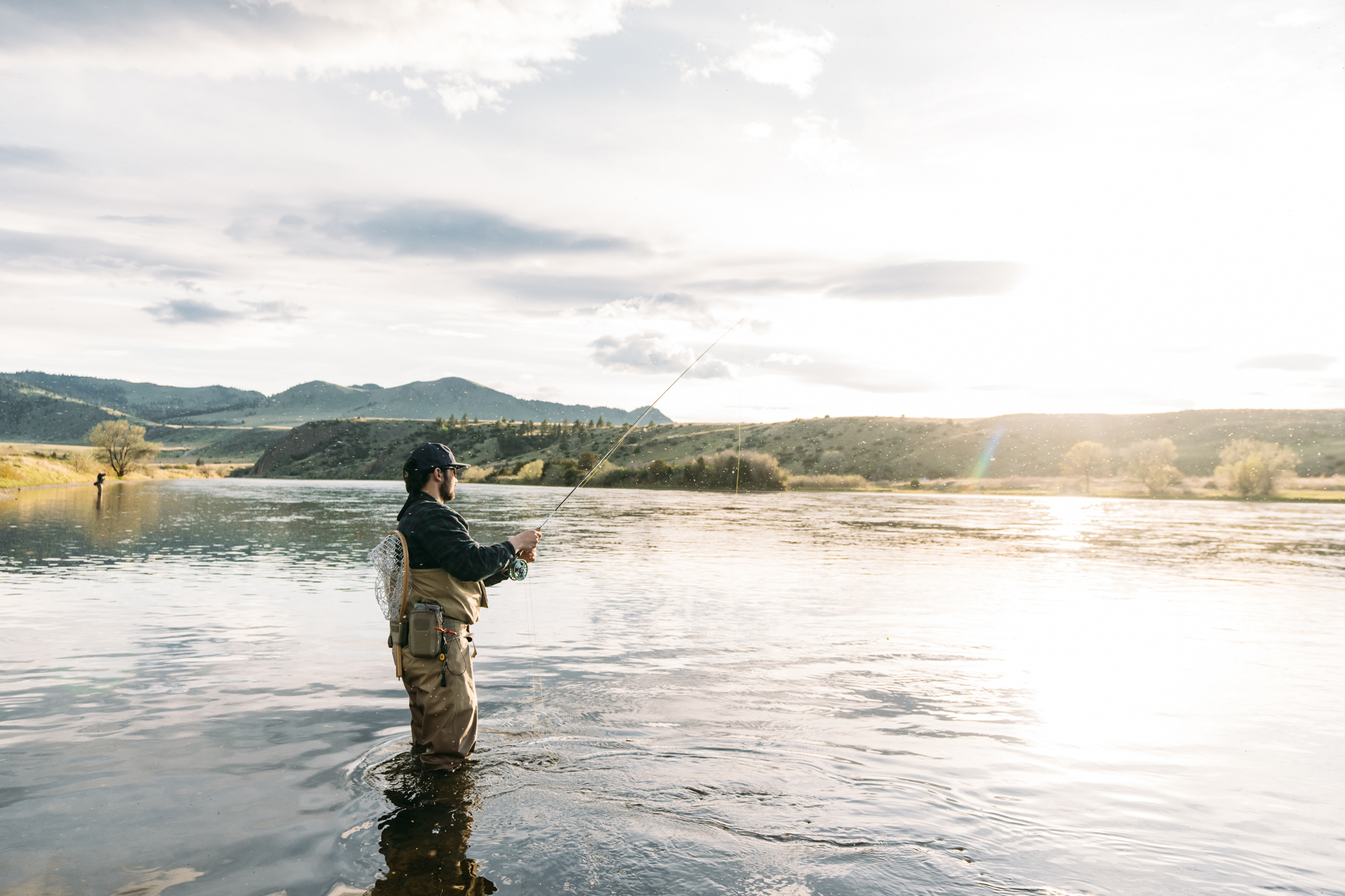 Conservation Licenses: Do You Need One?