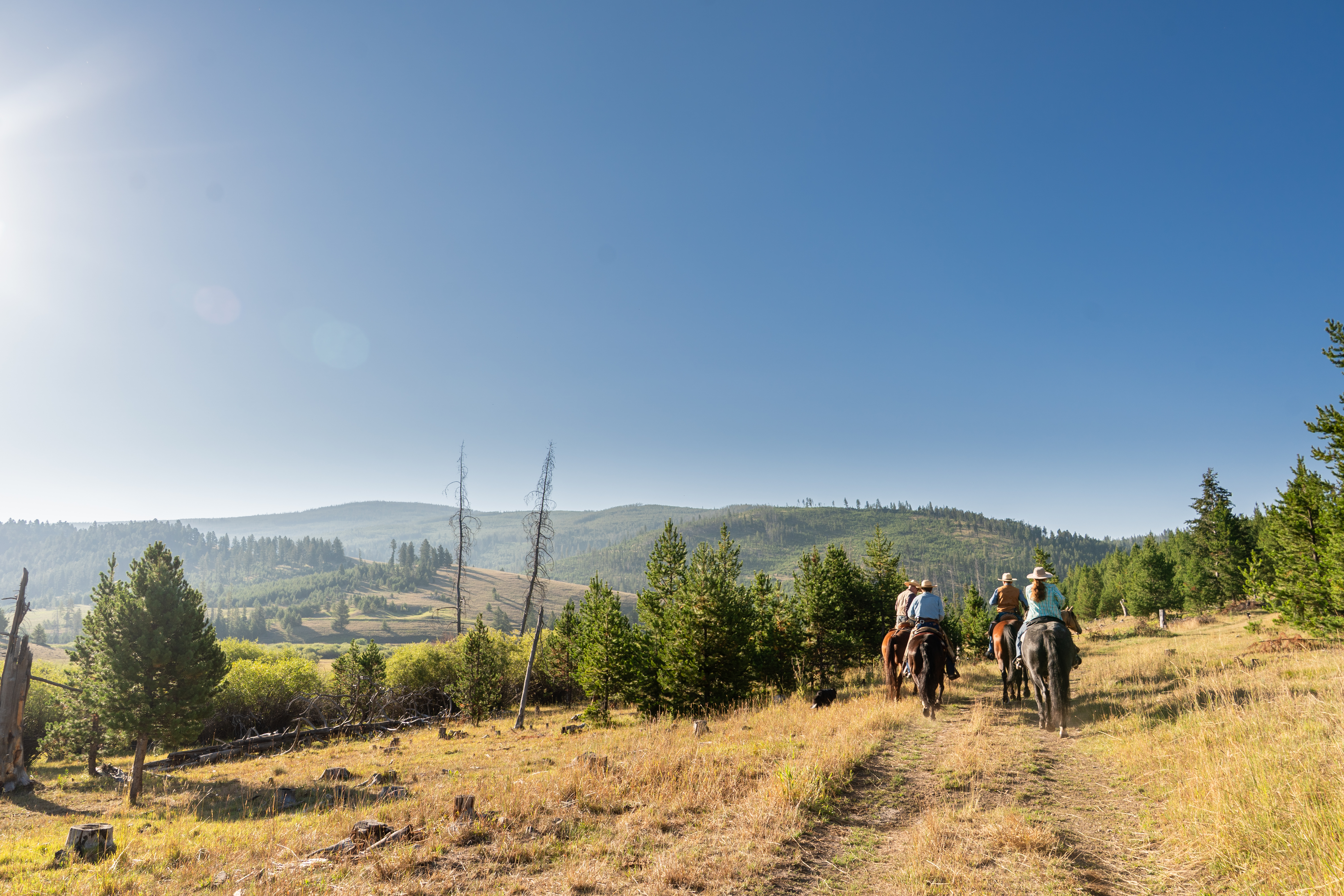 Honoring the Spirit of Montana Agriculture
