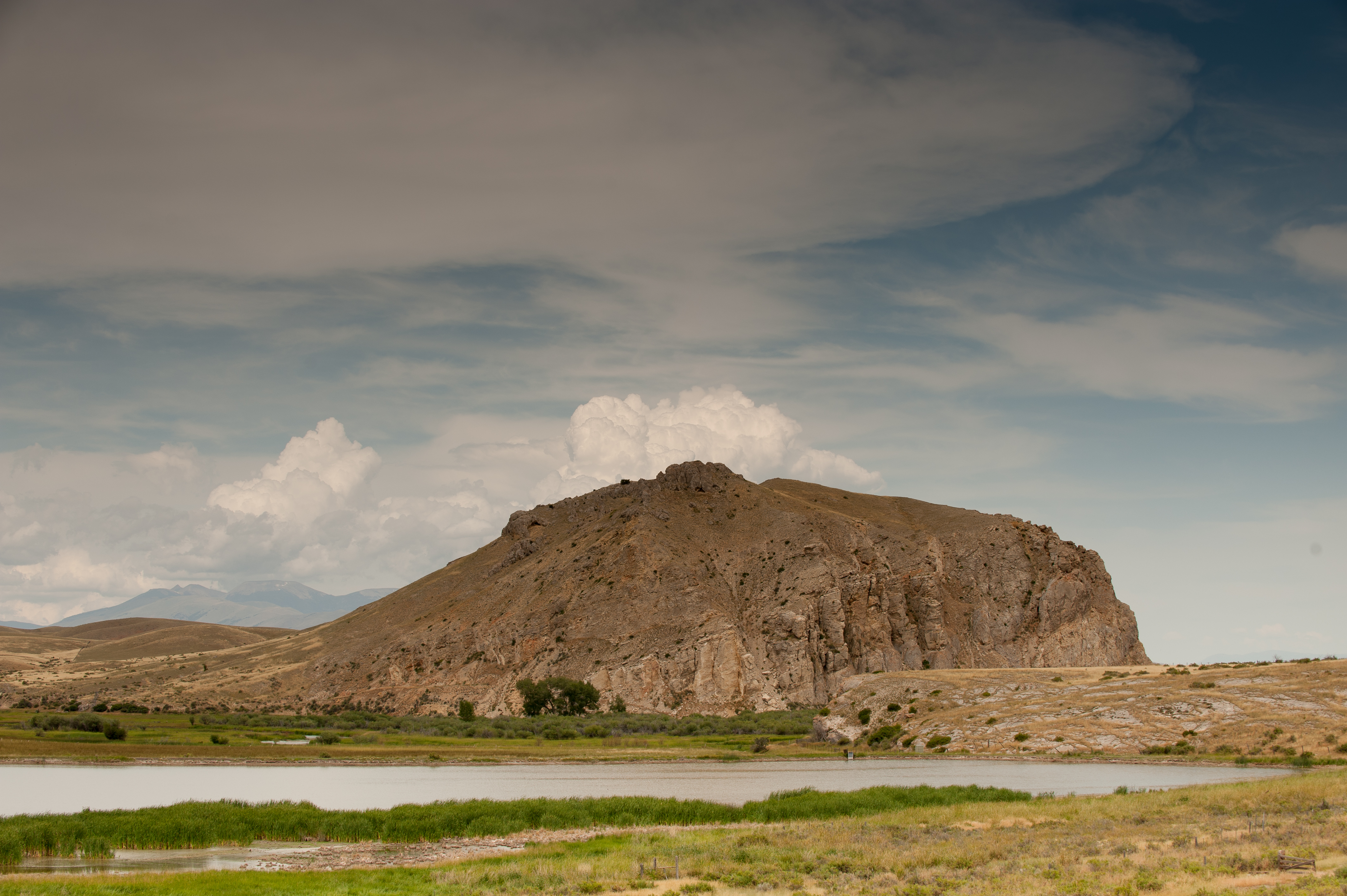 Photo of Montana