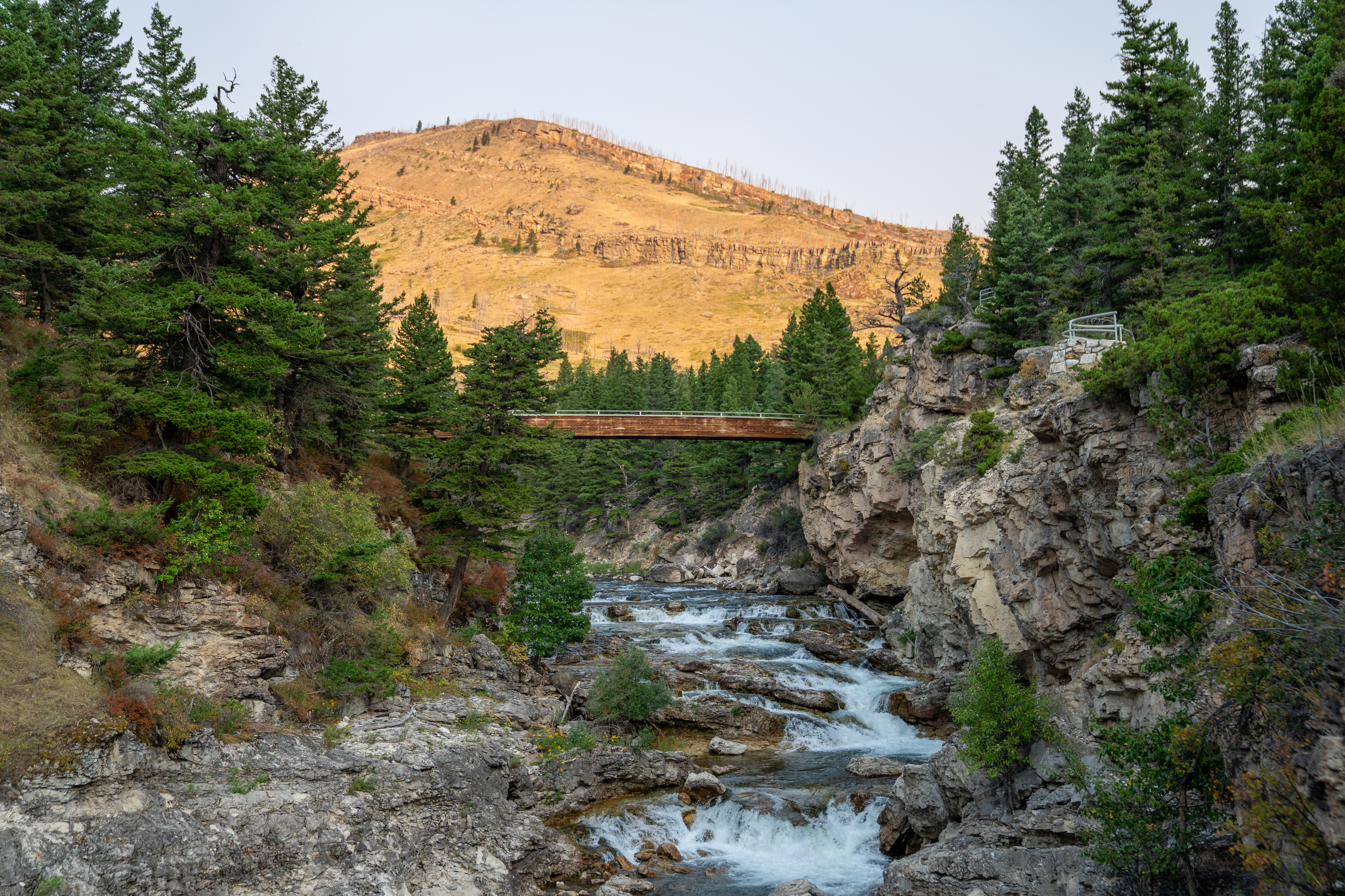 Photo of Montana