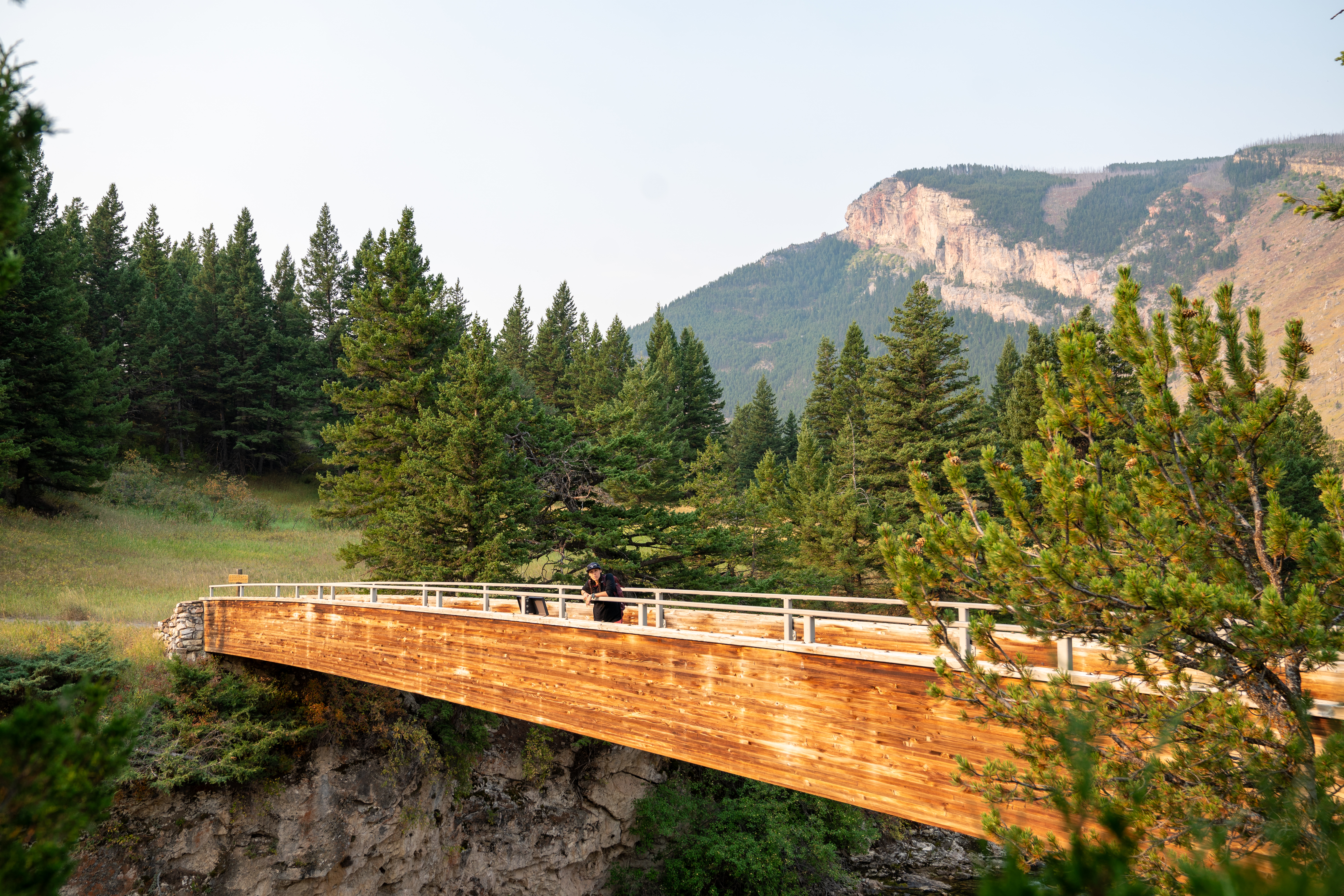 Photo of Montana