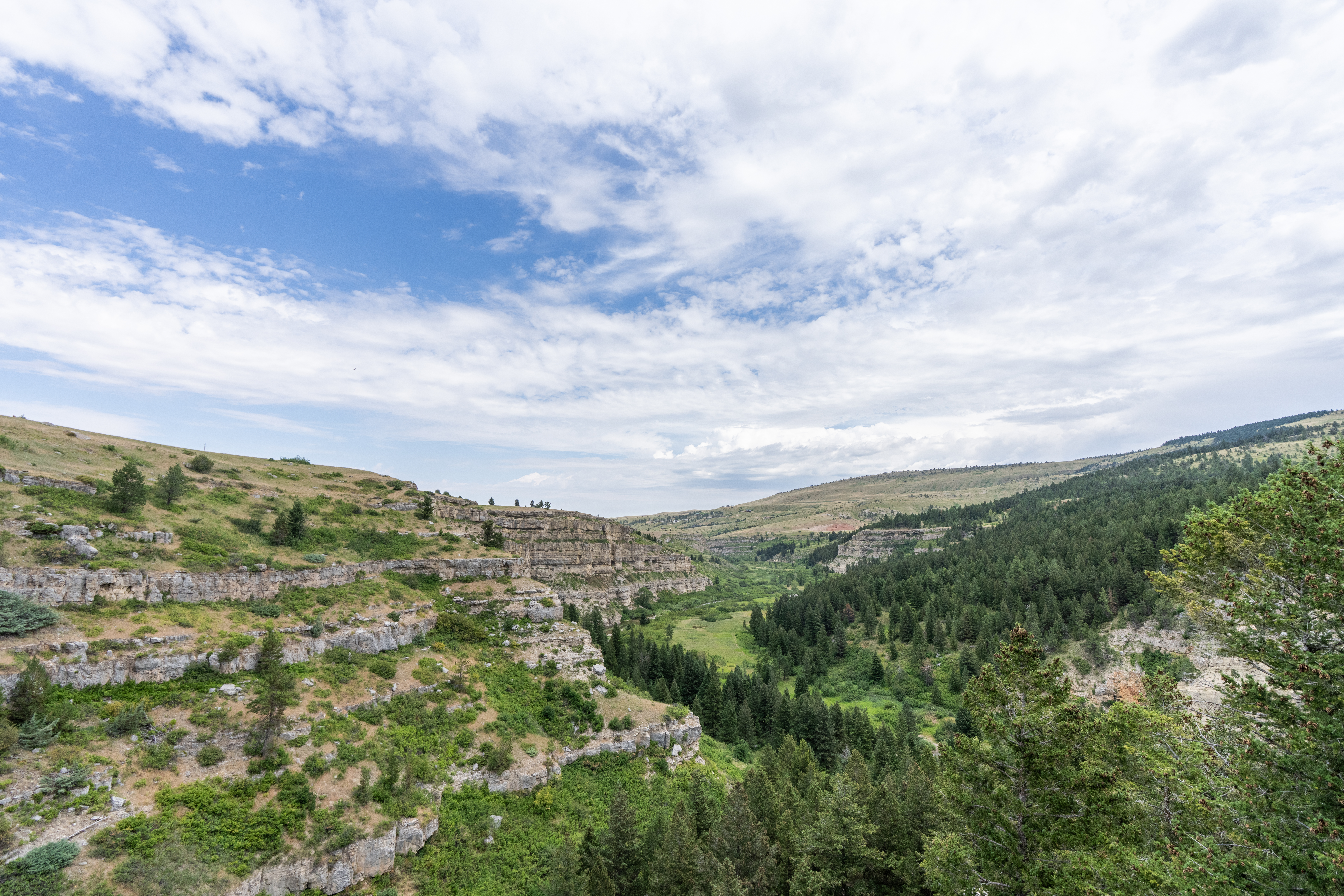 Photo of Montana
