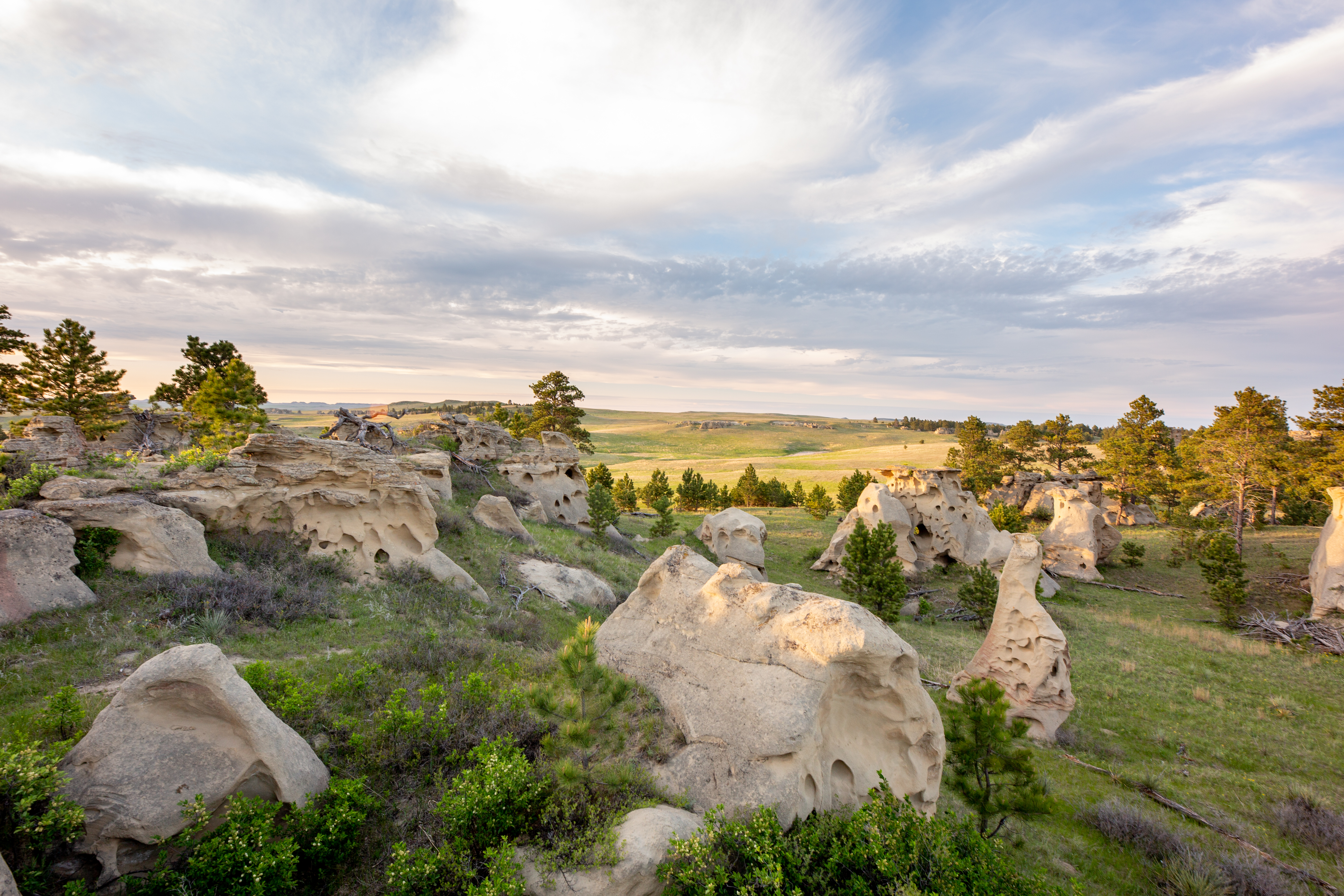 Photo of Montana
