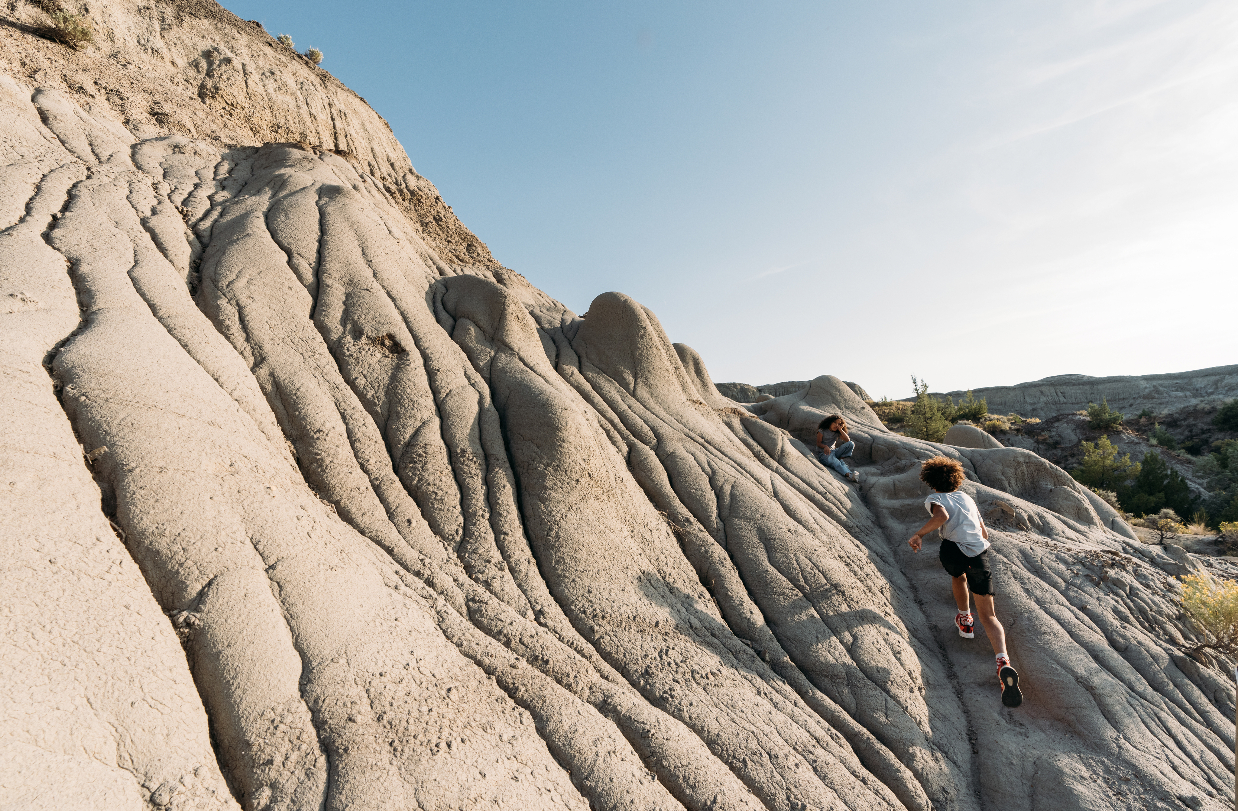Dinosaur Discovery in Eastern Montana
