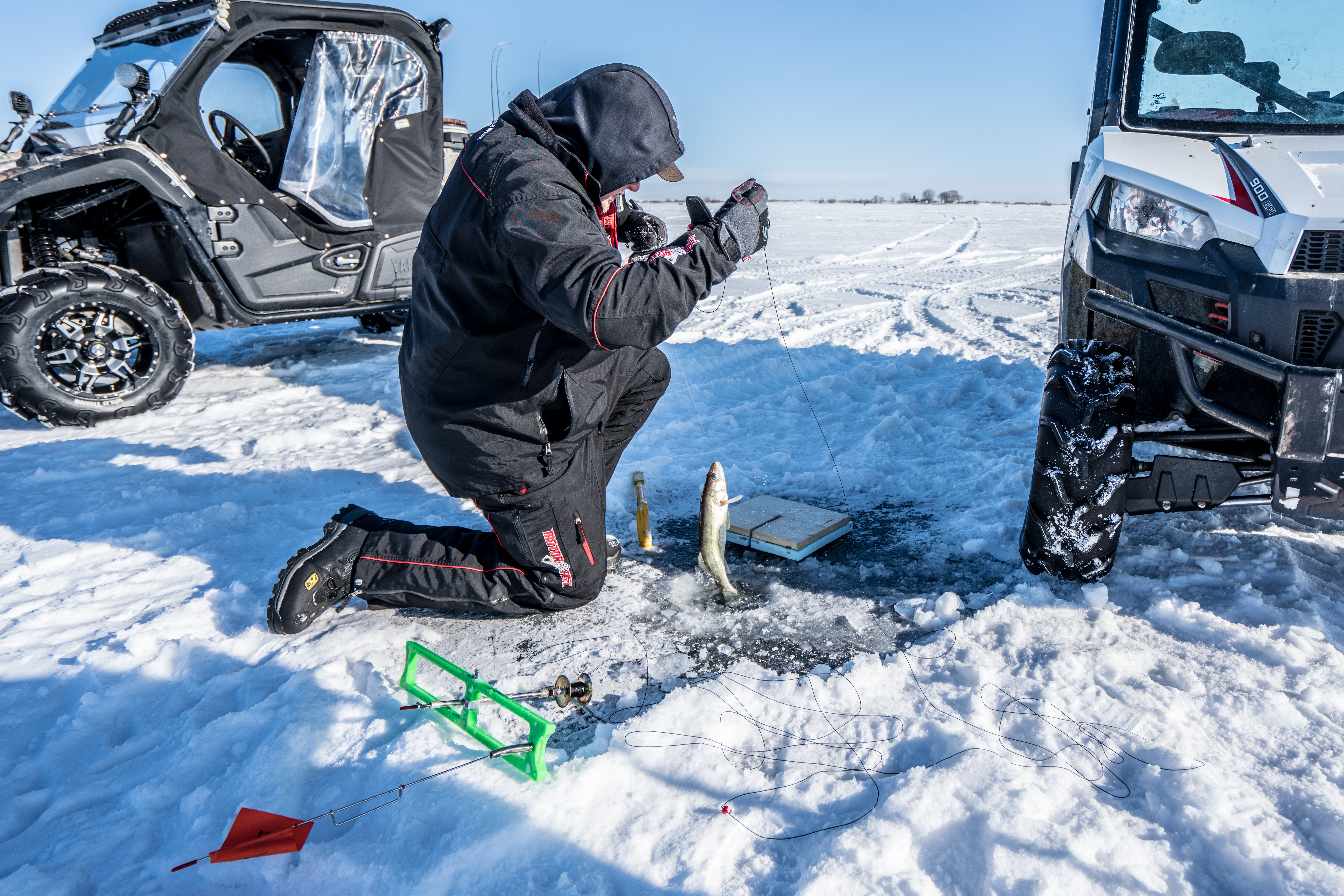 Photo of Montana