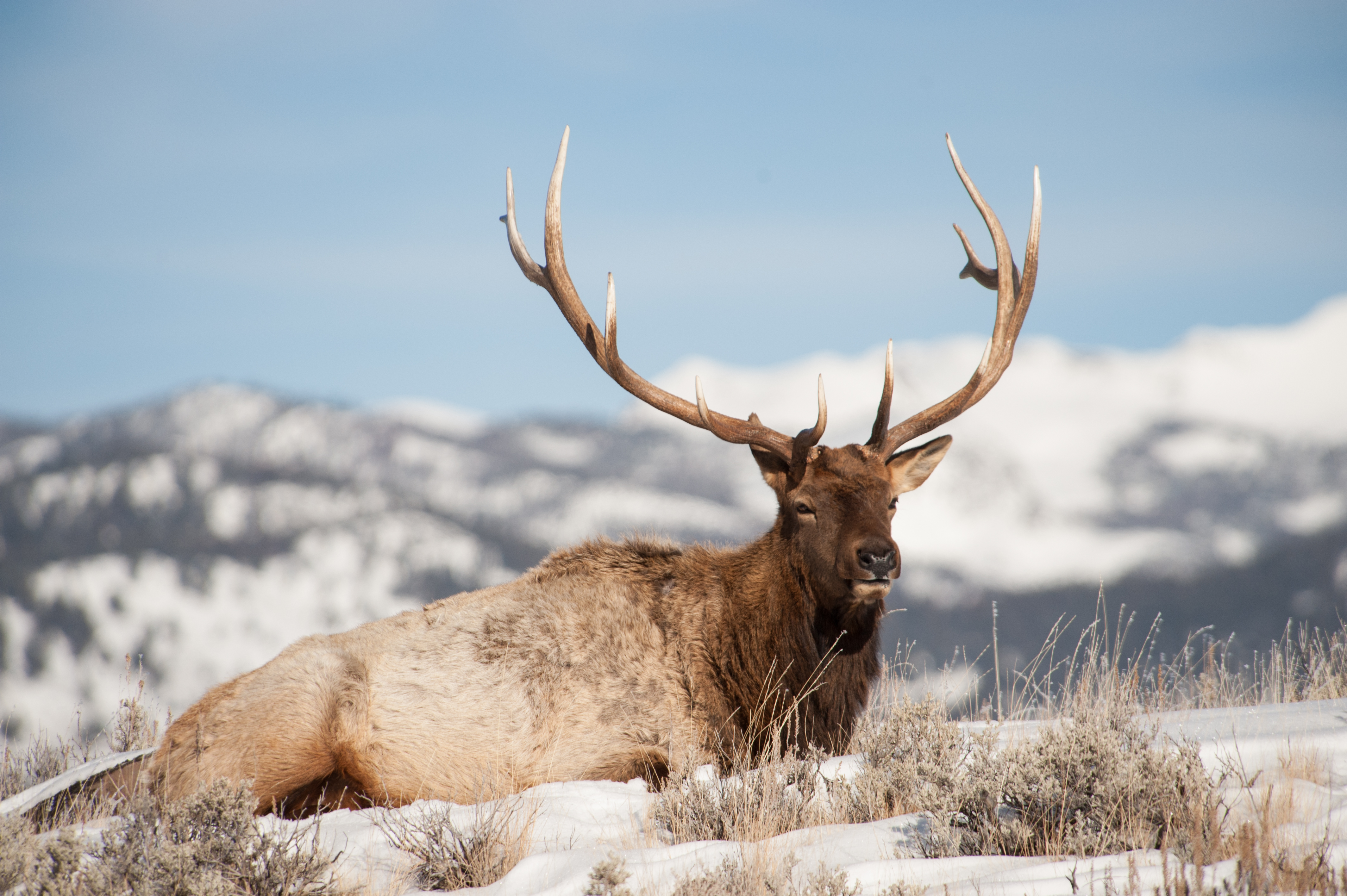 Experience Wildlife