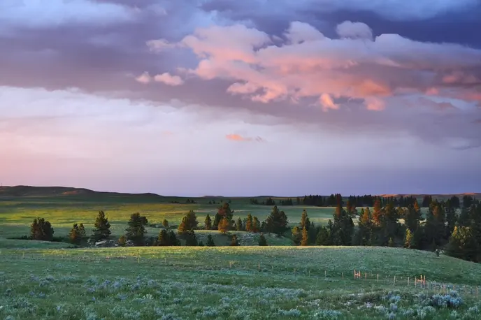 On the Plains