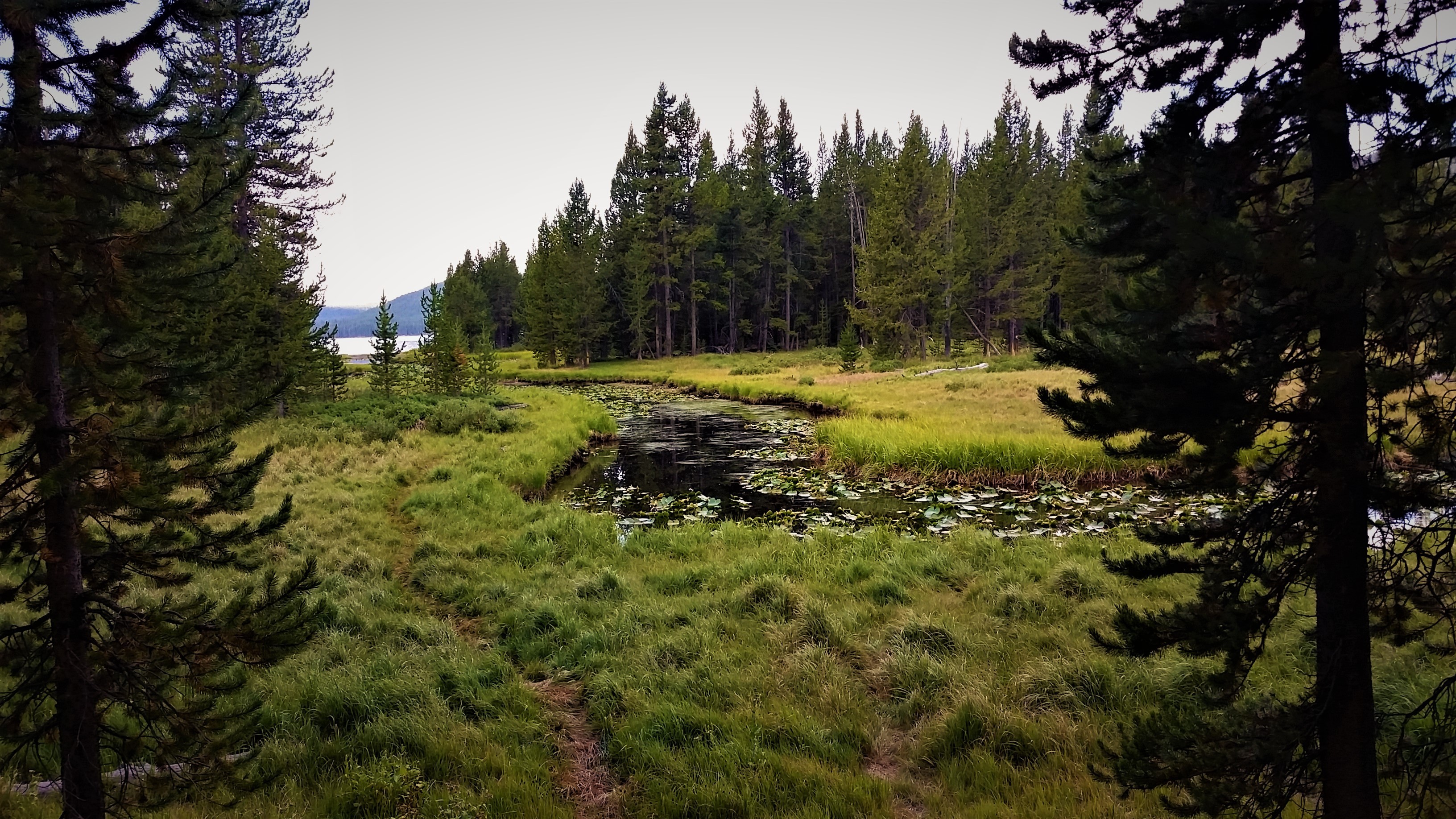 DeLacy Creek Trail