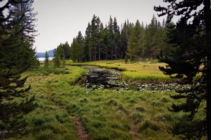 DeLacy Creek Trail
