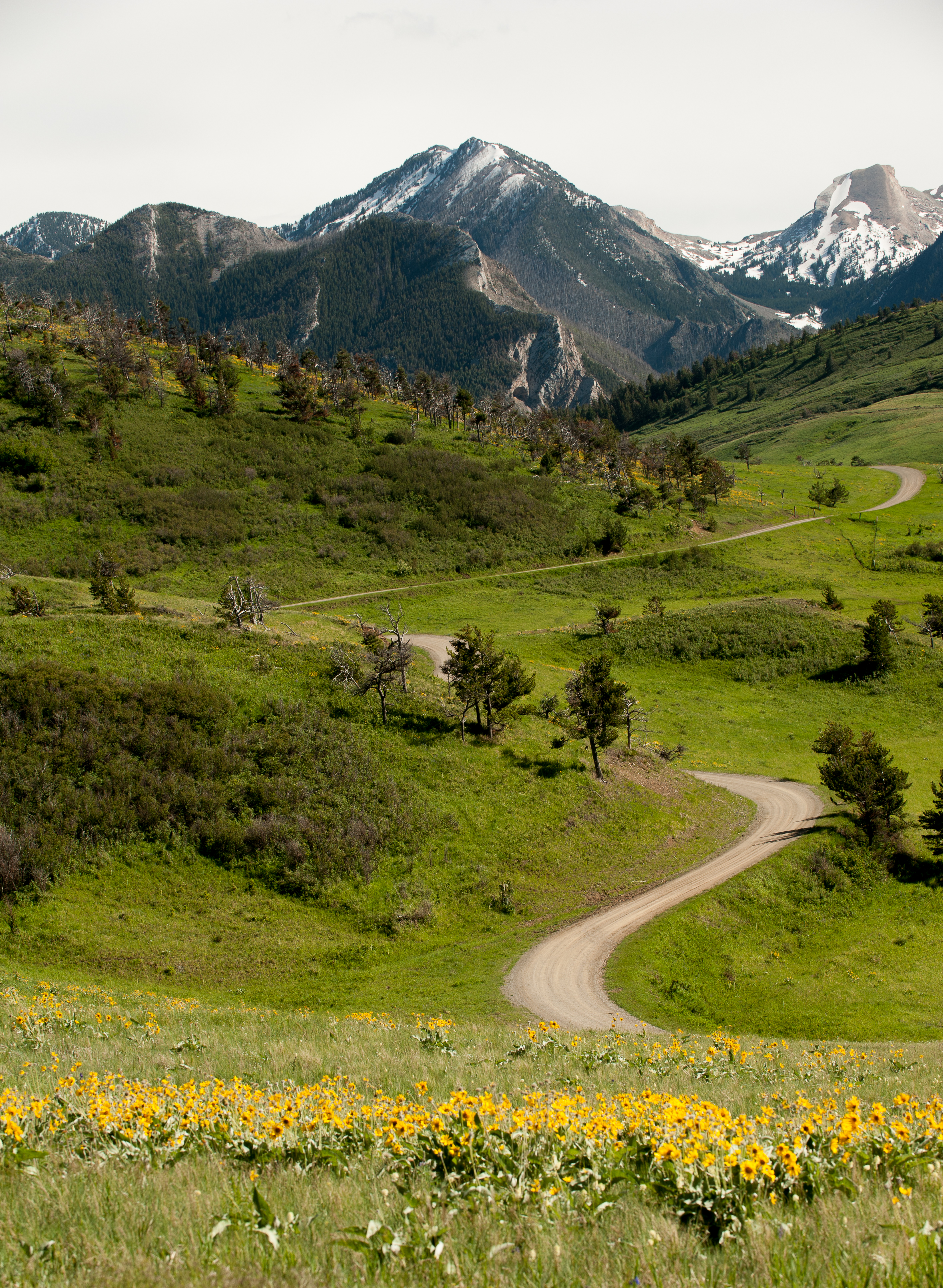Avalanche Peak