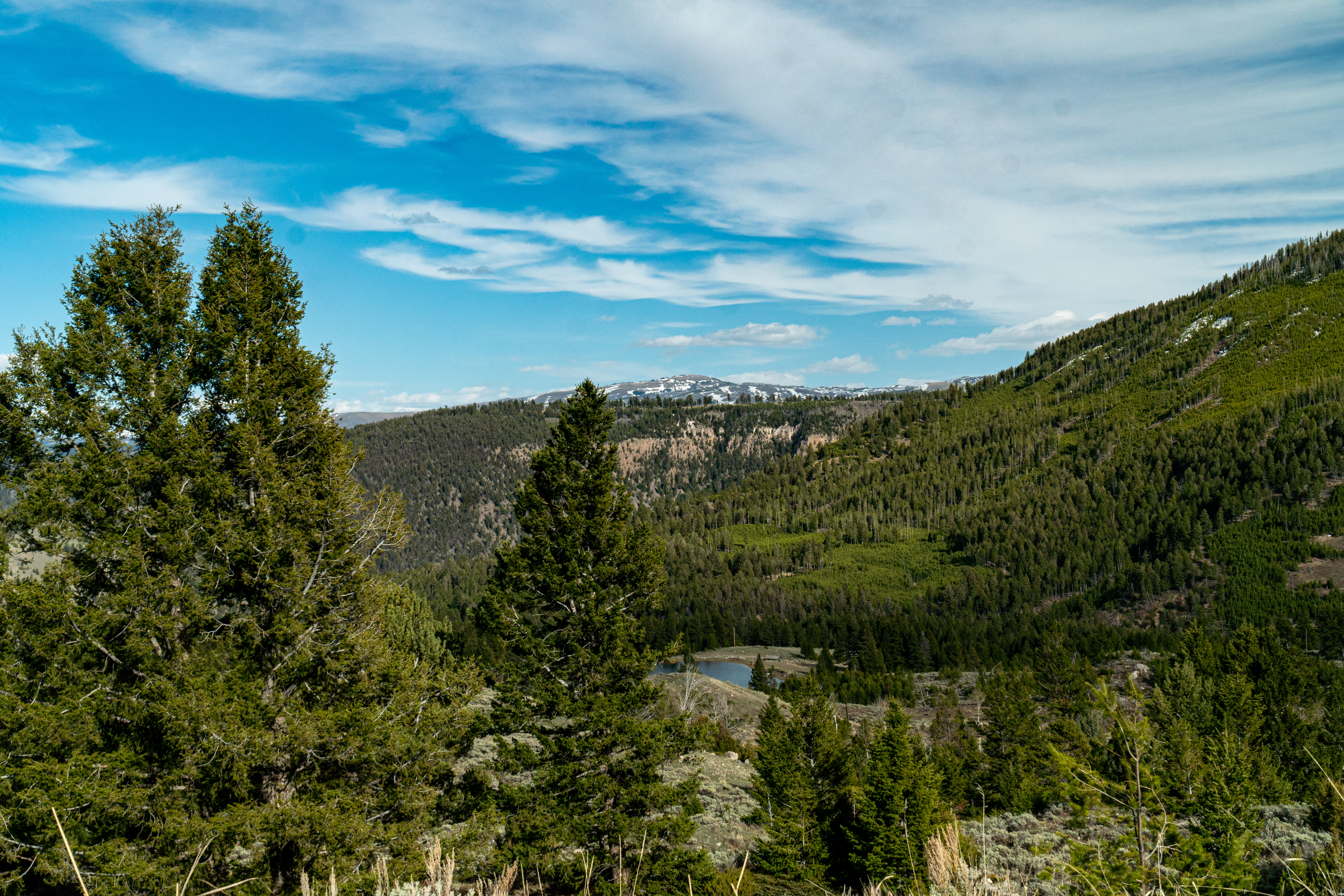 Purple Mountain Trail