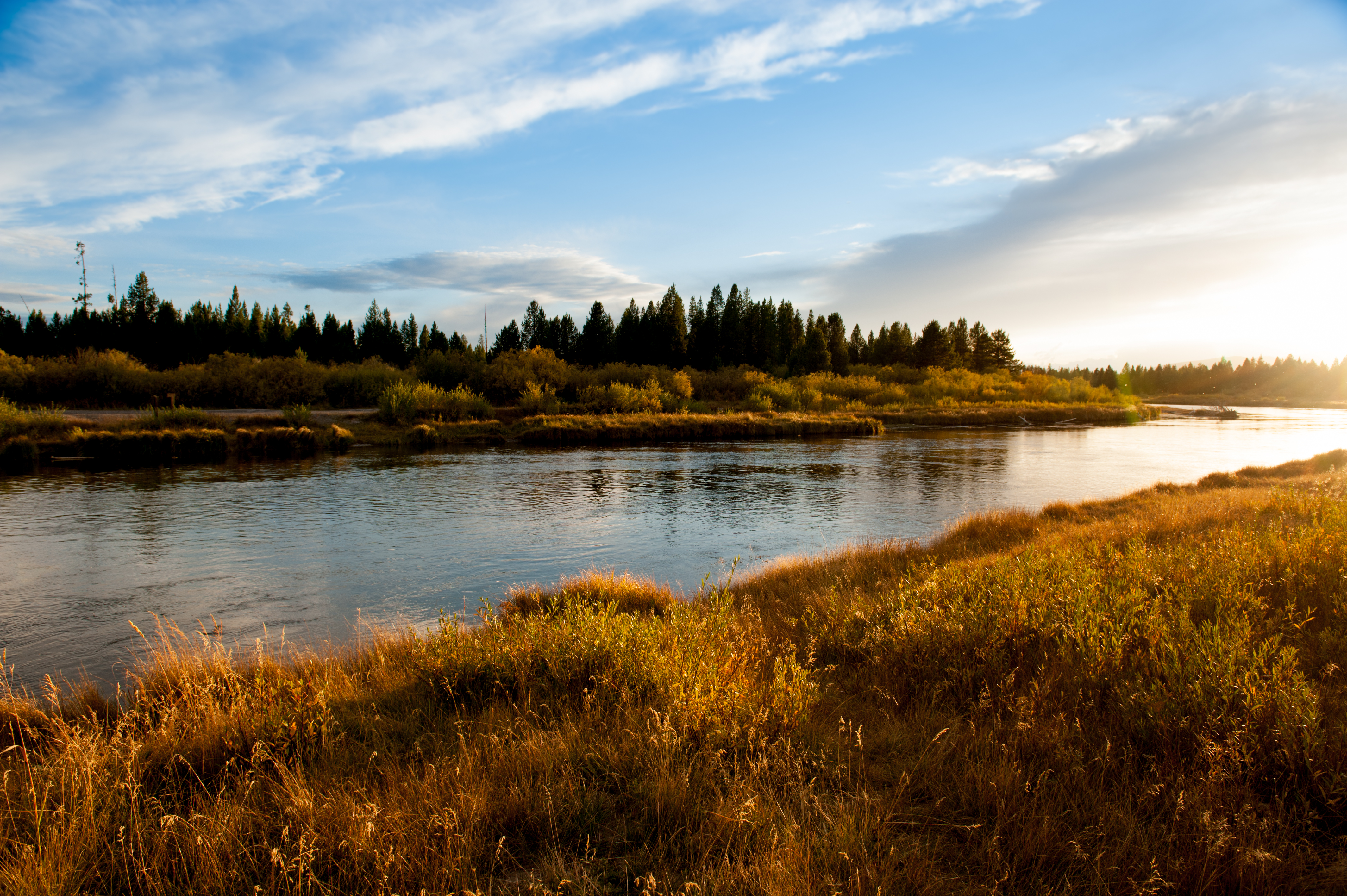 Yellowstone River Picnic Area Trail