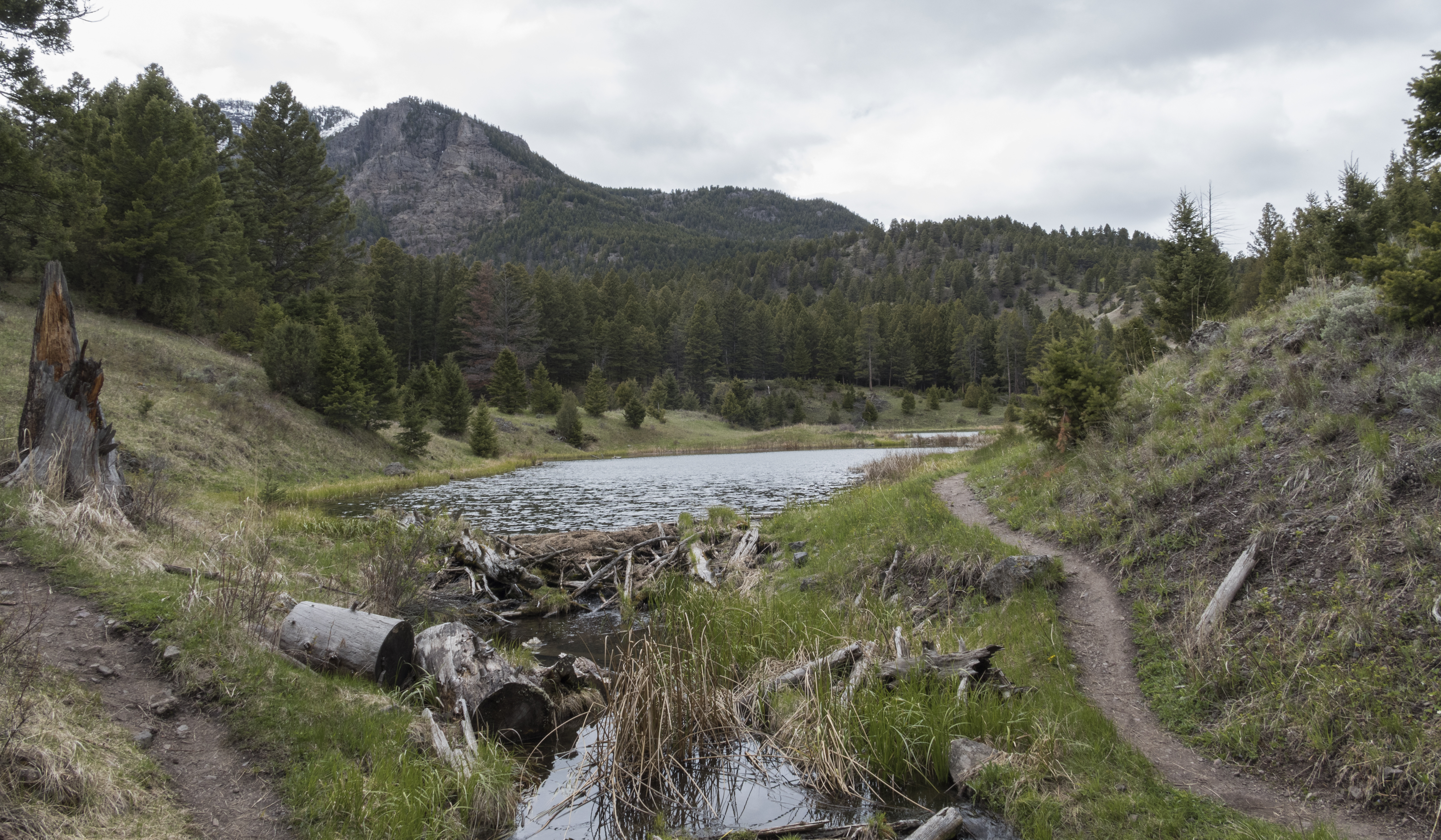 Beaver Pond Loop 