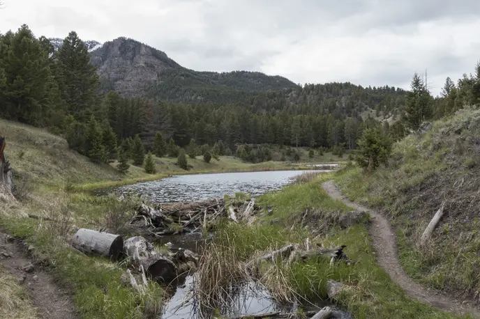 Beaver Pond Loop