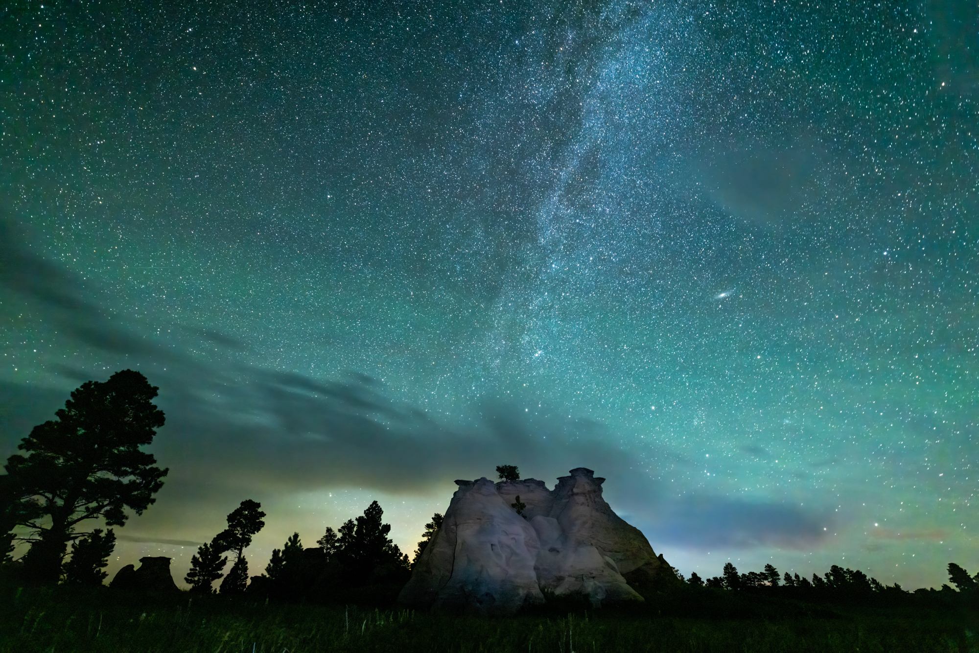 Dark Skies And Wildlife