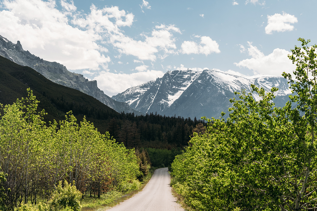Photo of Montana