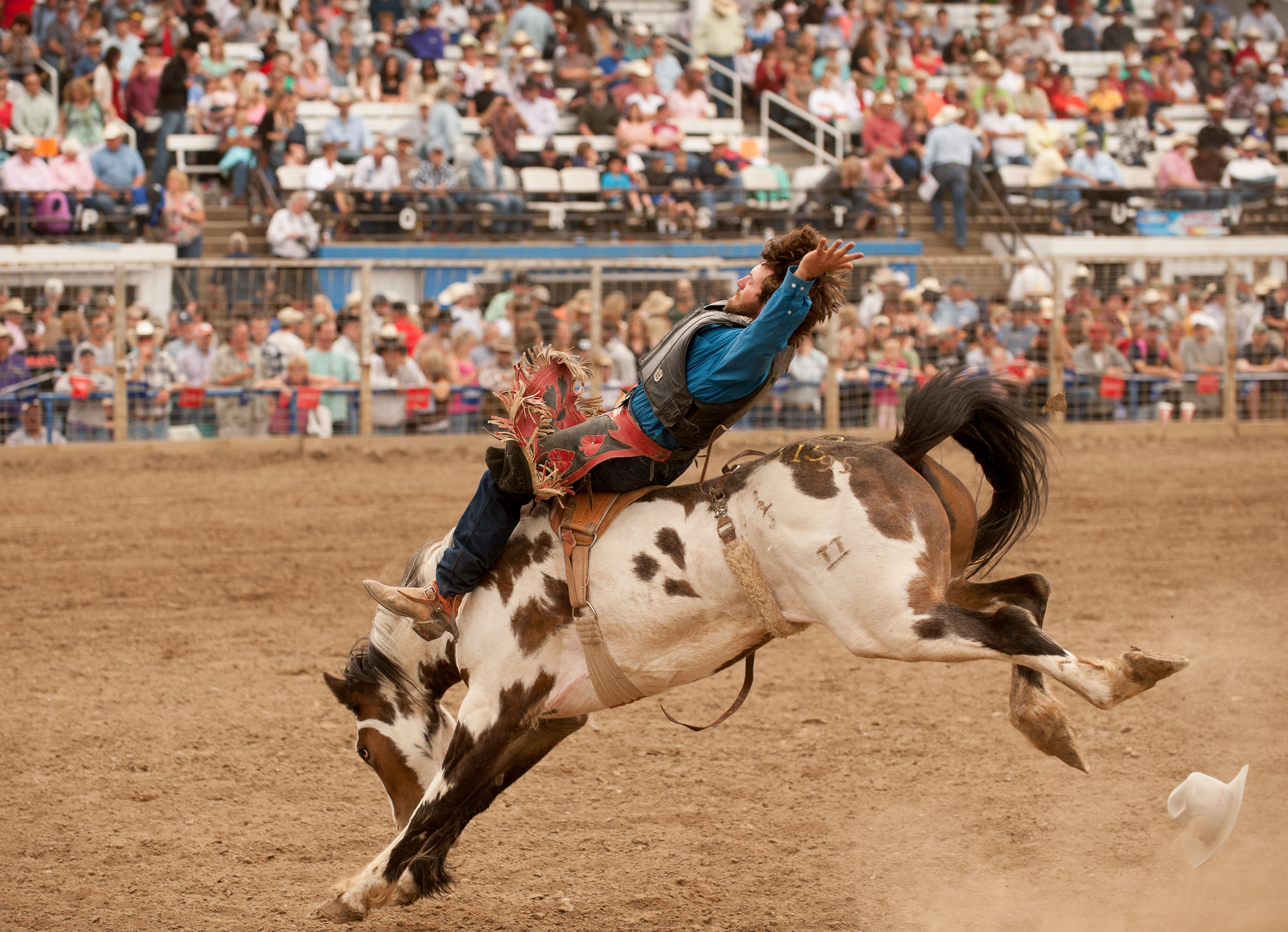 Photo of Montana