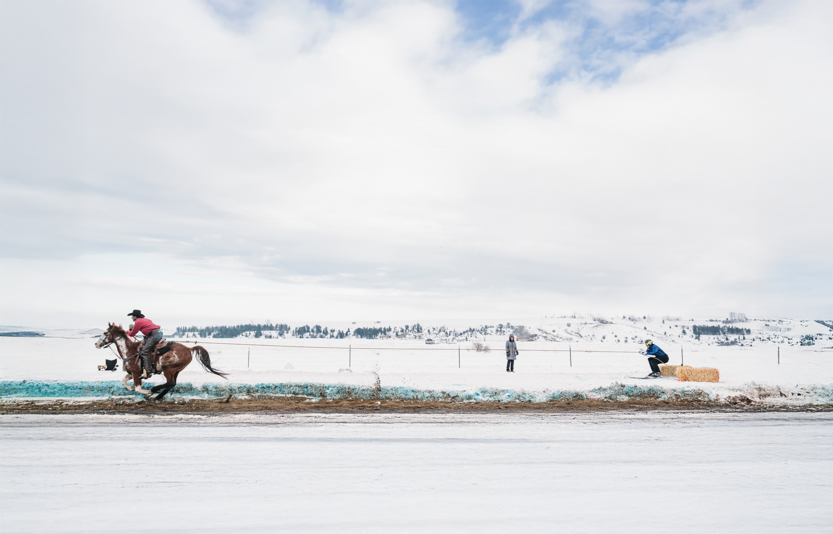 Skijoring