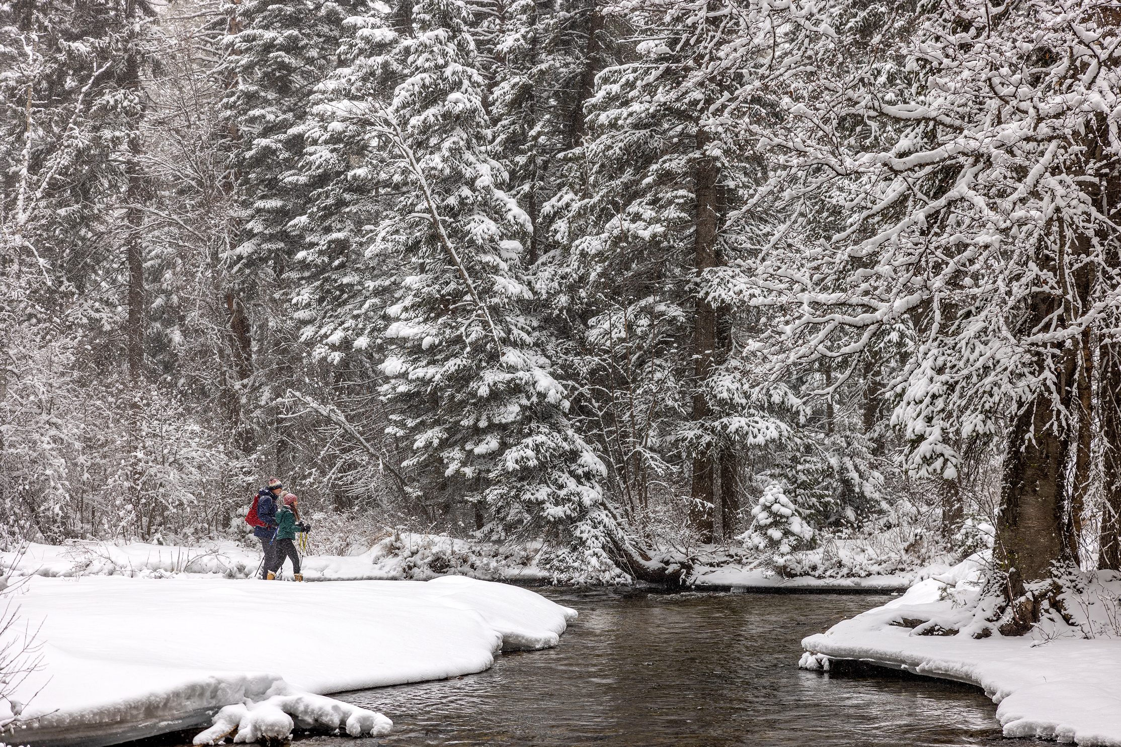 Snowshoeing