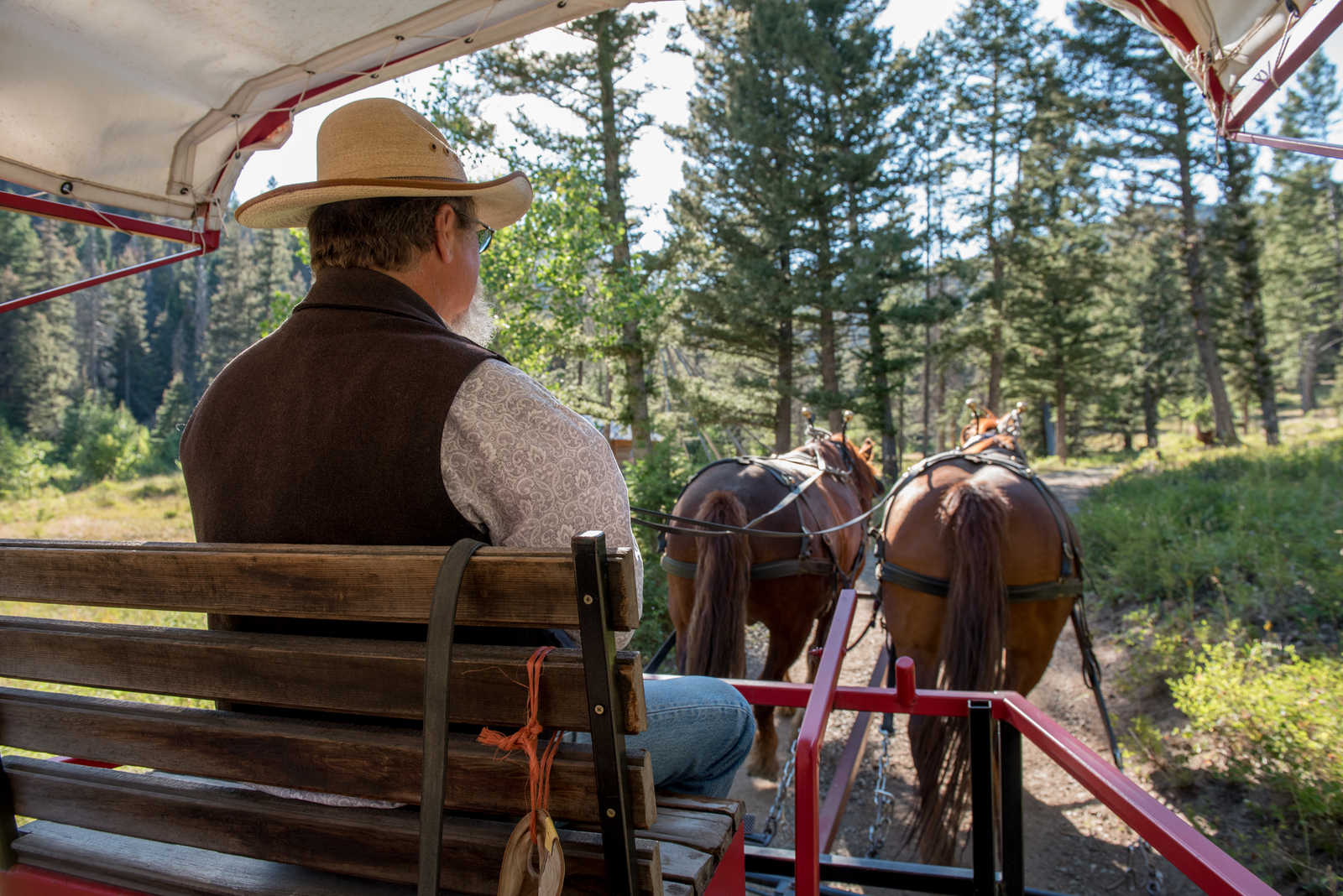 Saddle Up 