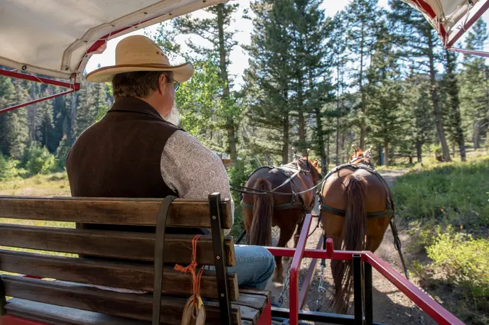 Saddle Up