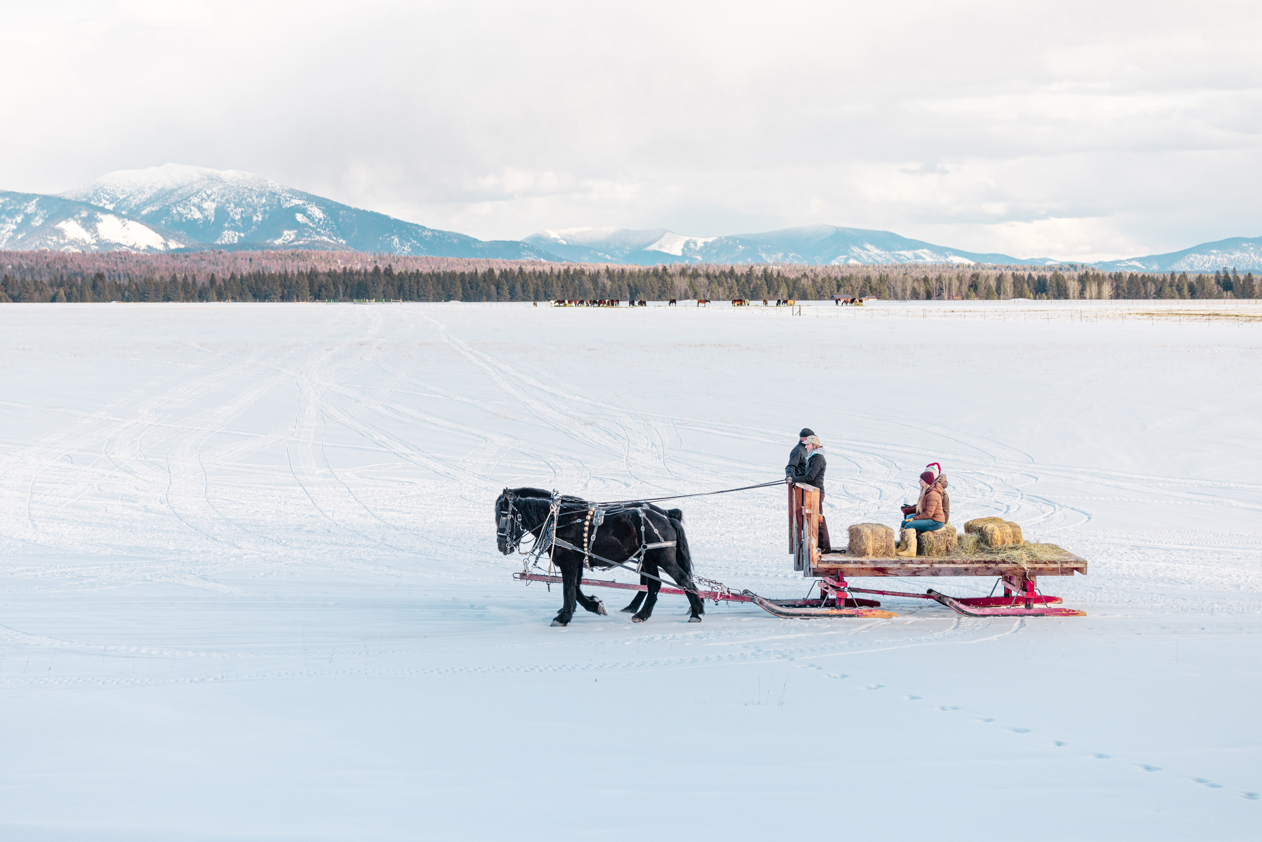 Sleigh Rides