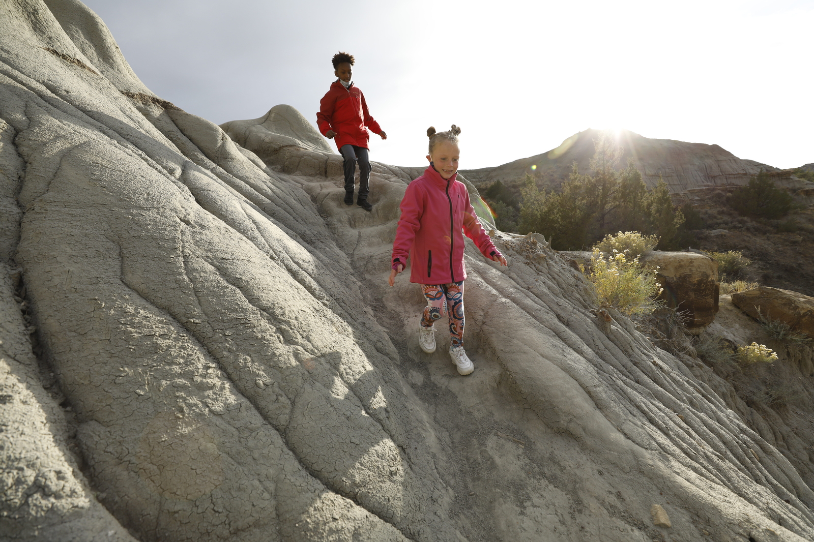 Walk a Dinosaur Trail