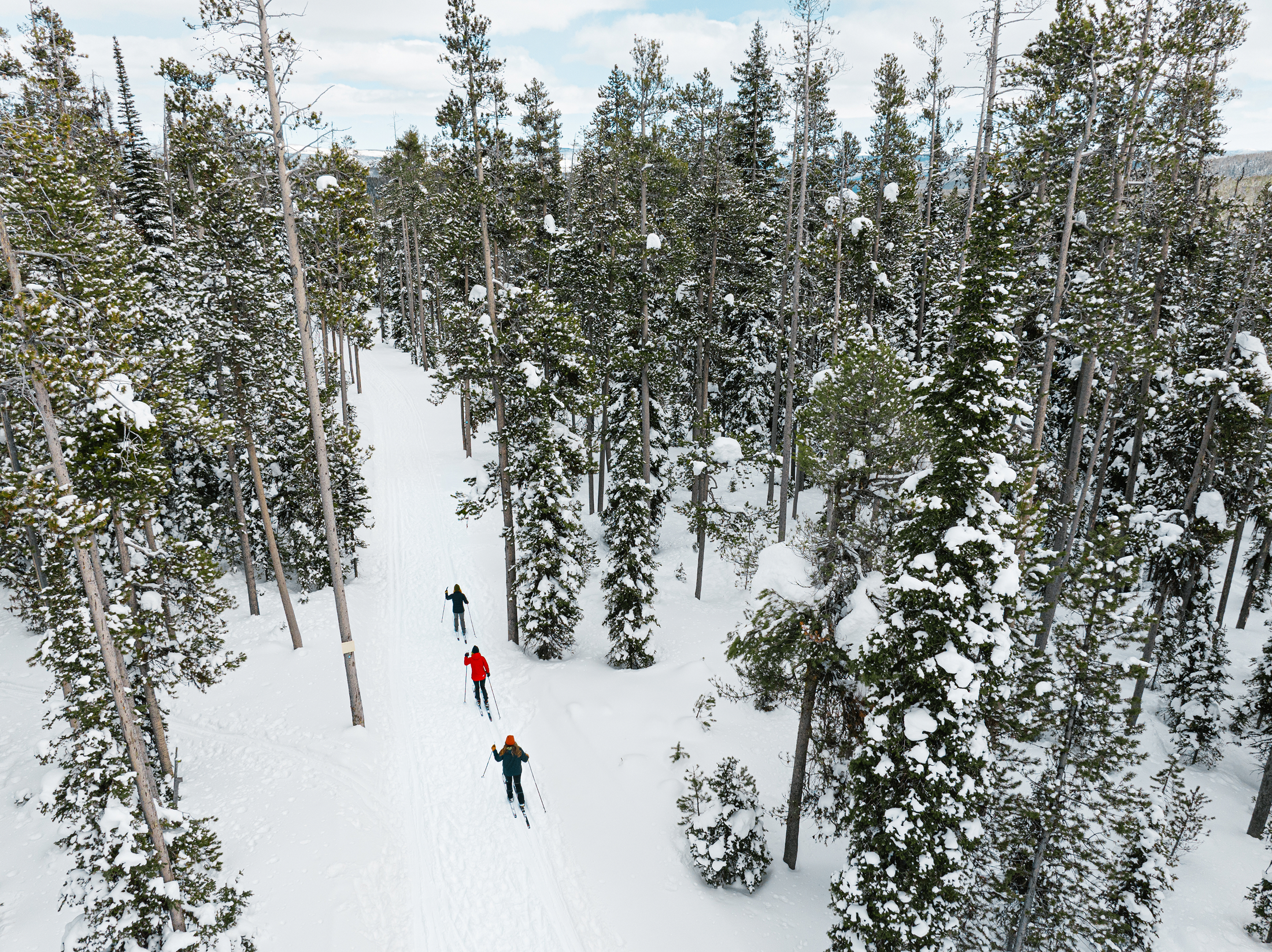 Cross-Country Skiing