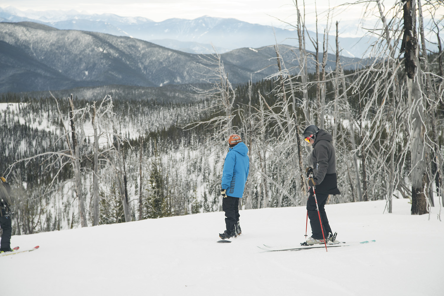 Photo of Montana