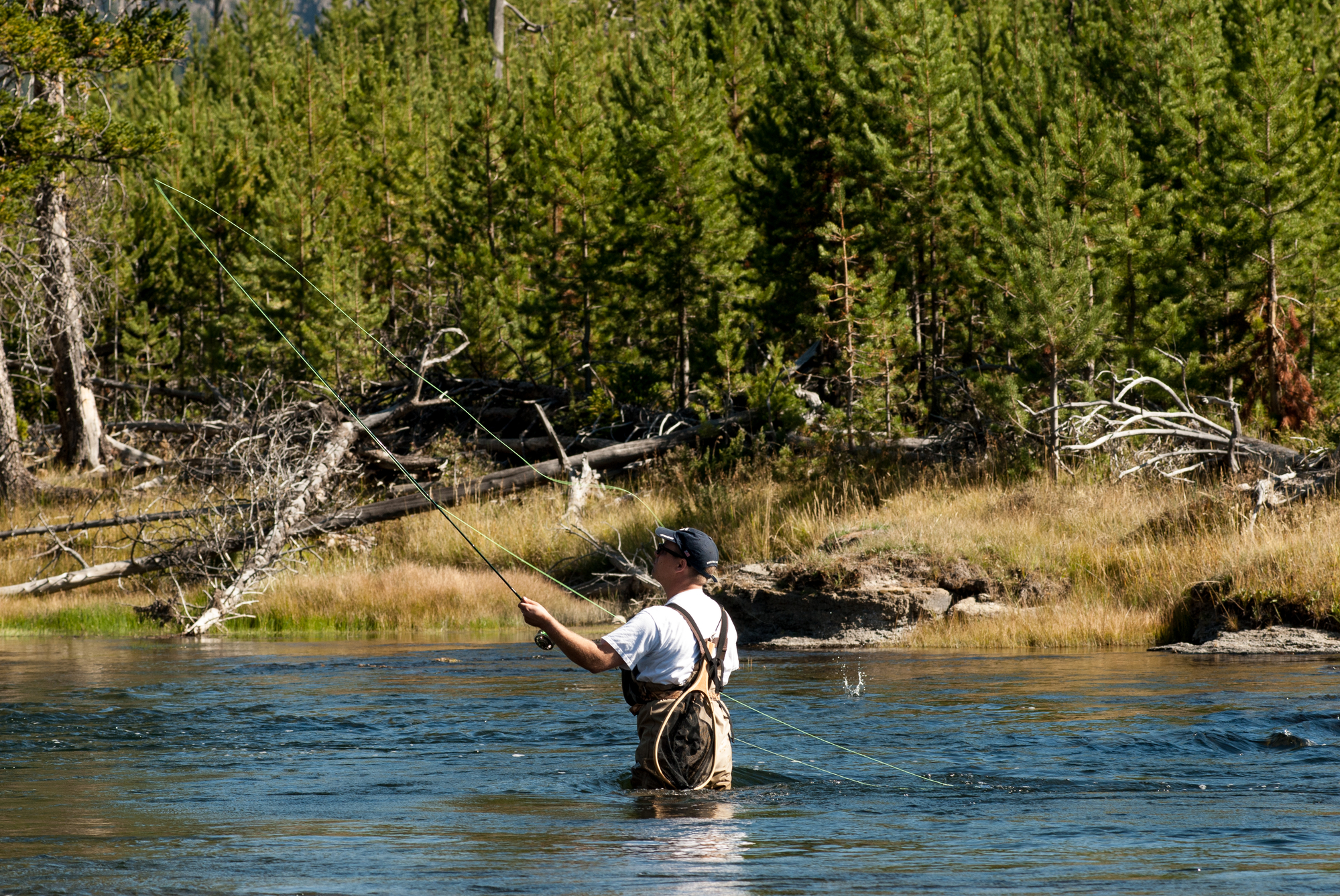 Photo of Montana
