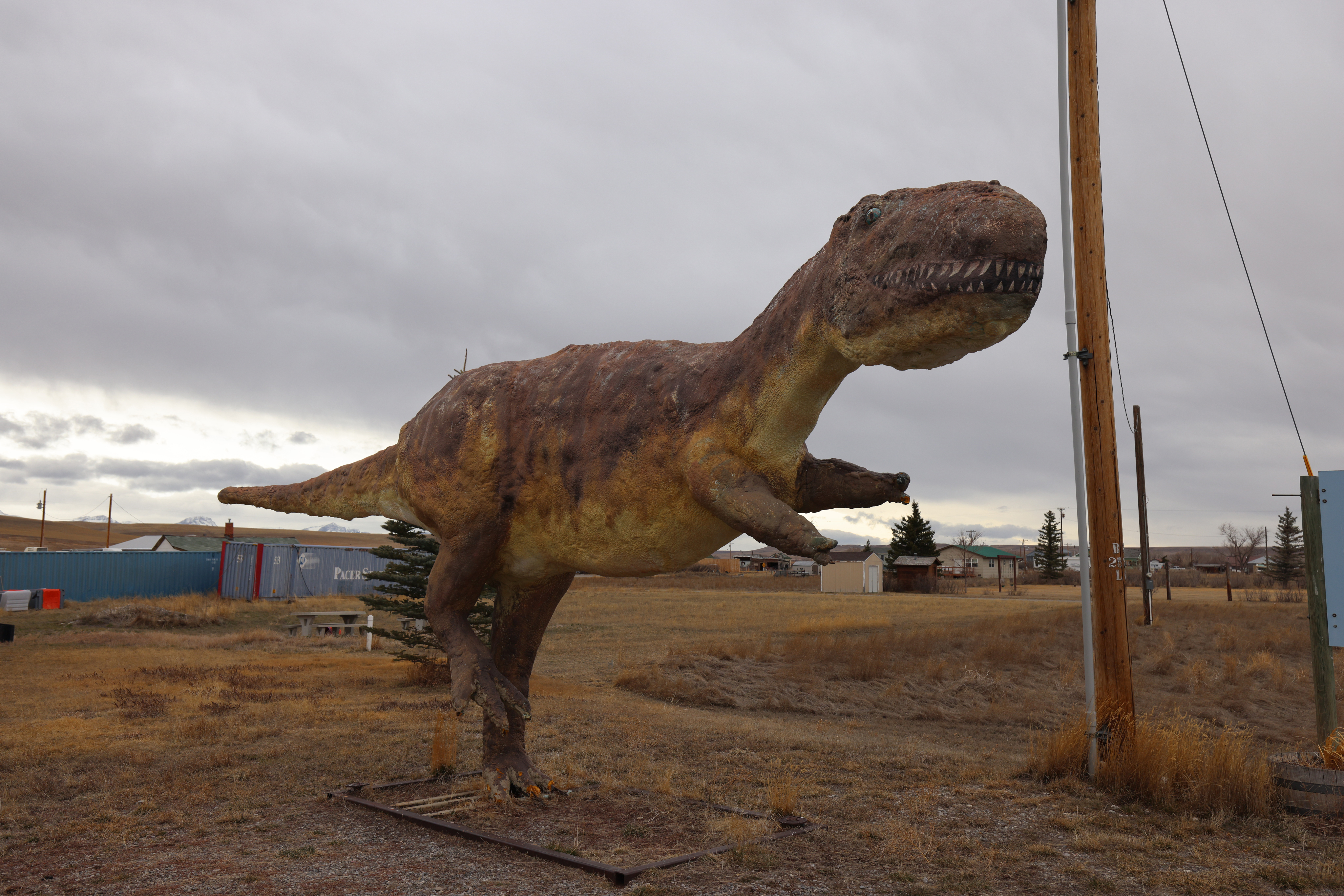 Photo of Montana