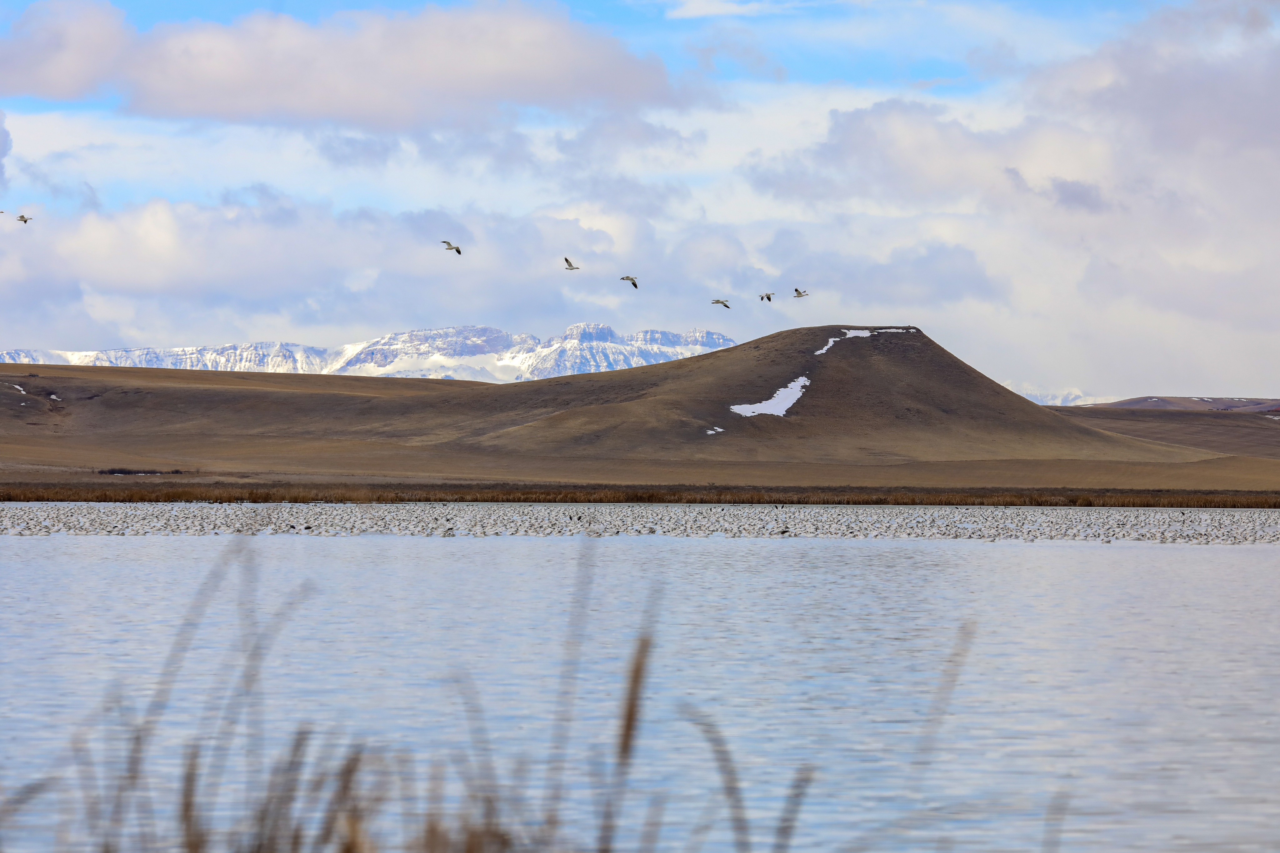 Photo of Montana
