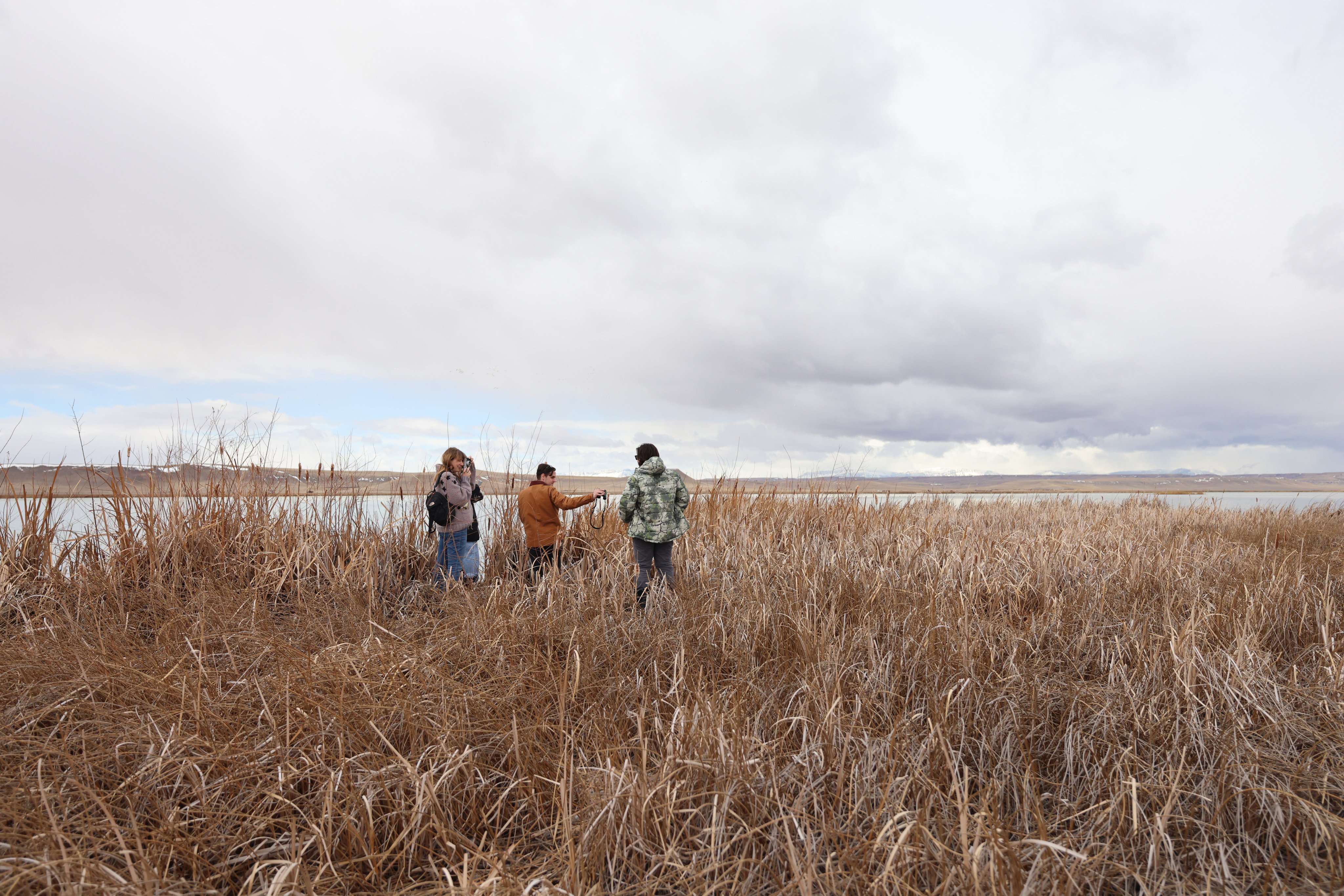 Photo of Montana
