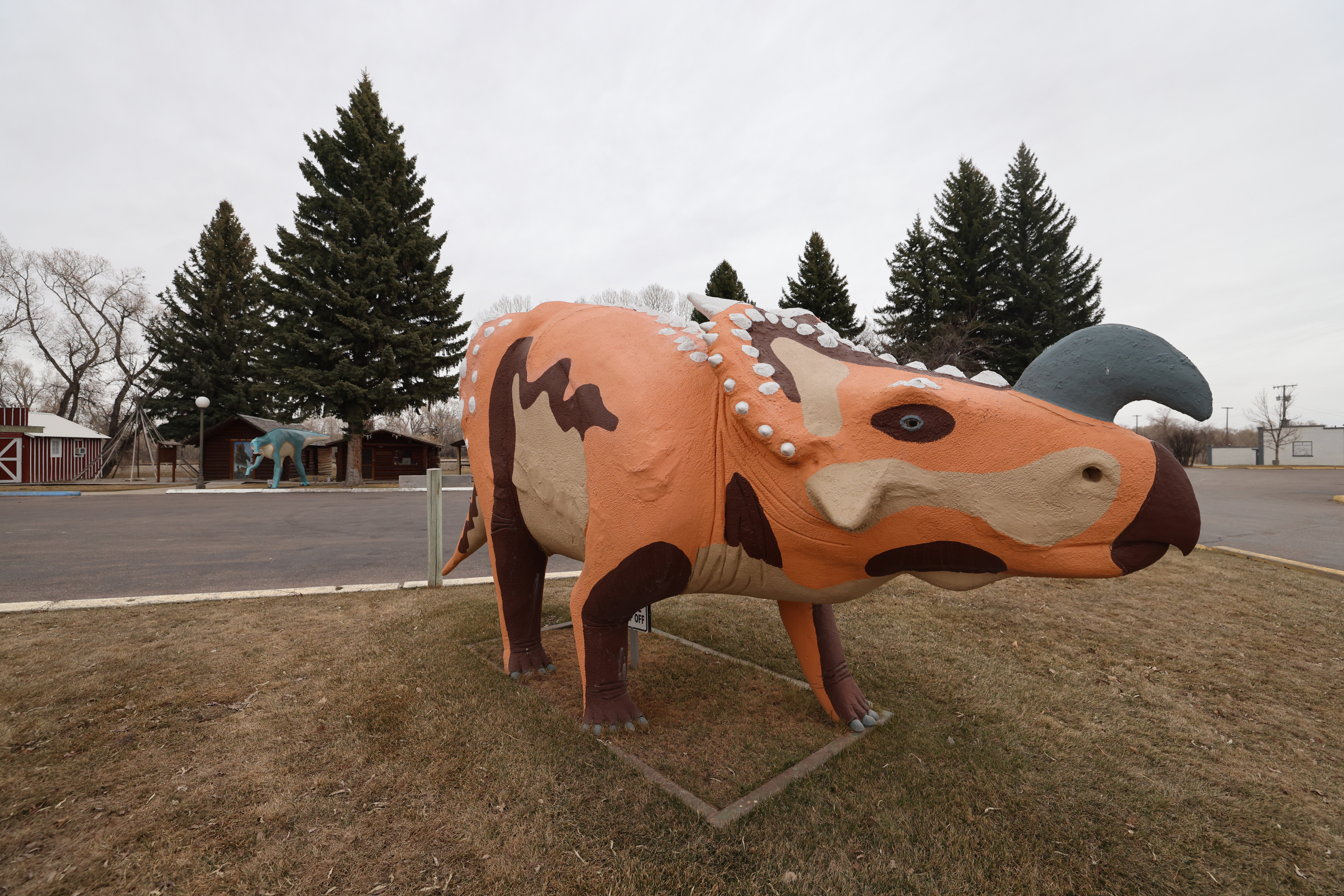 Photo of Montana