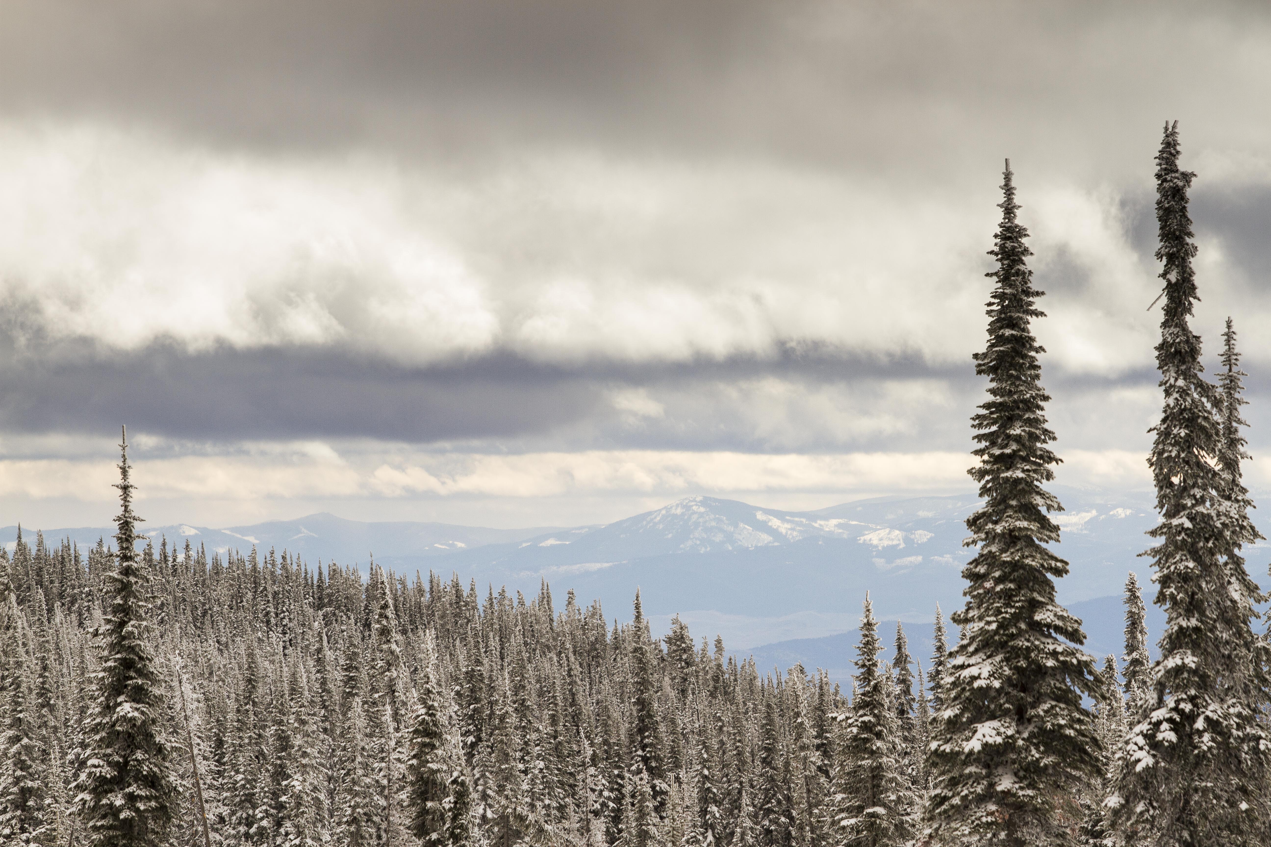 Blacktail Mountain Ski Area