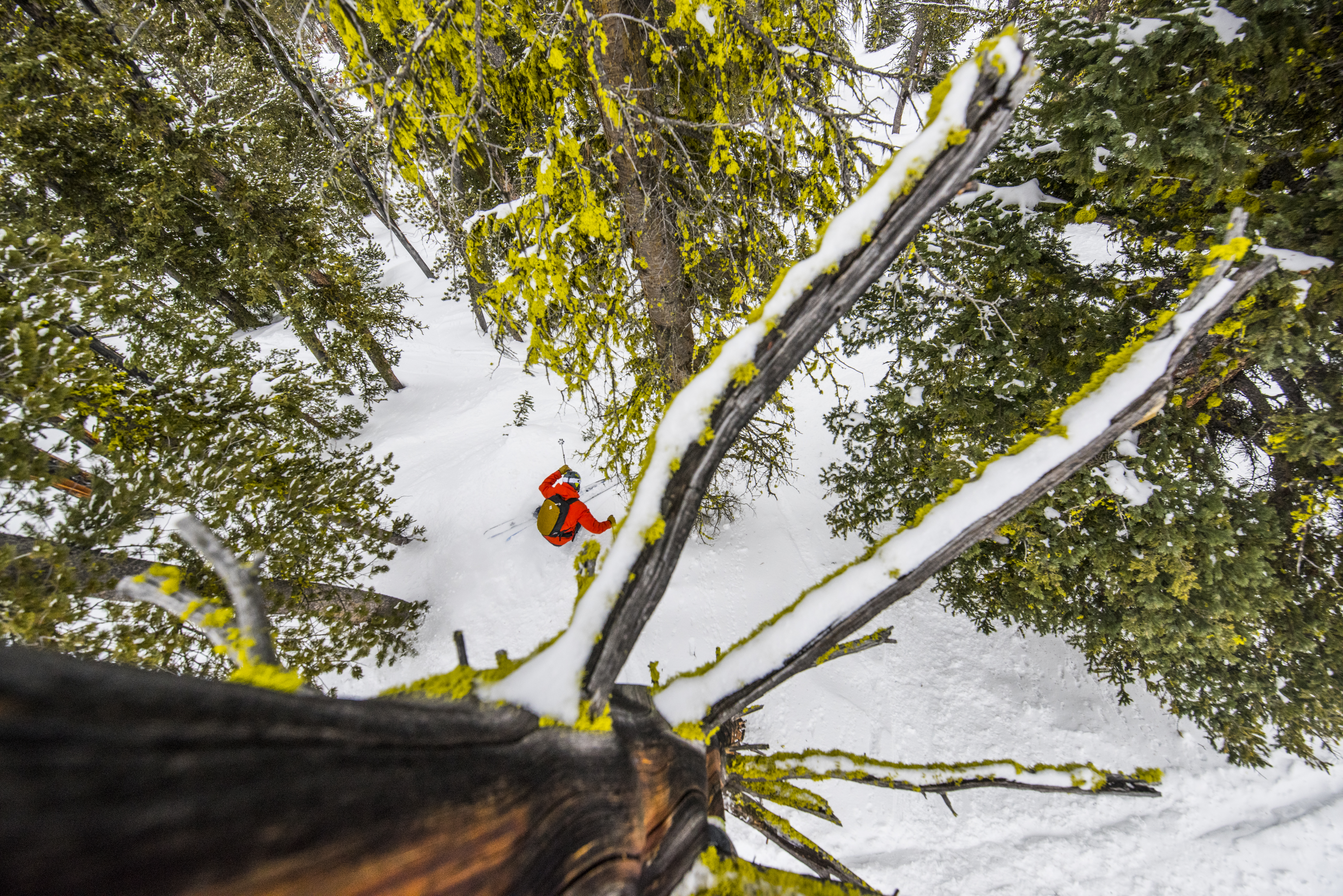Discovery Ski Area