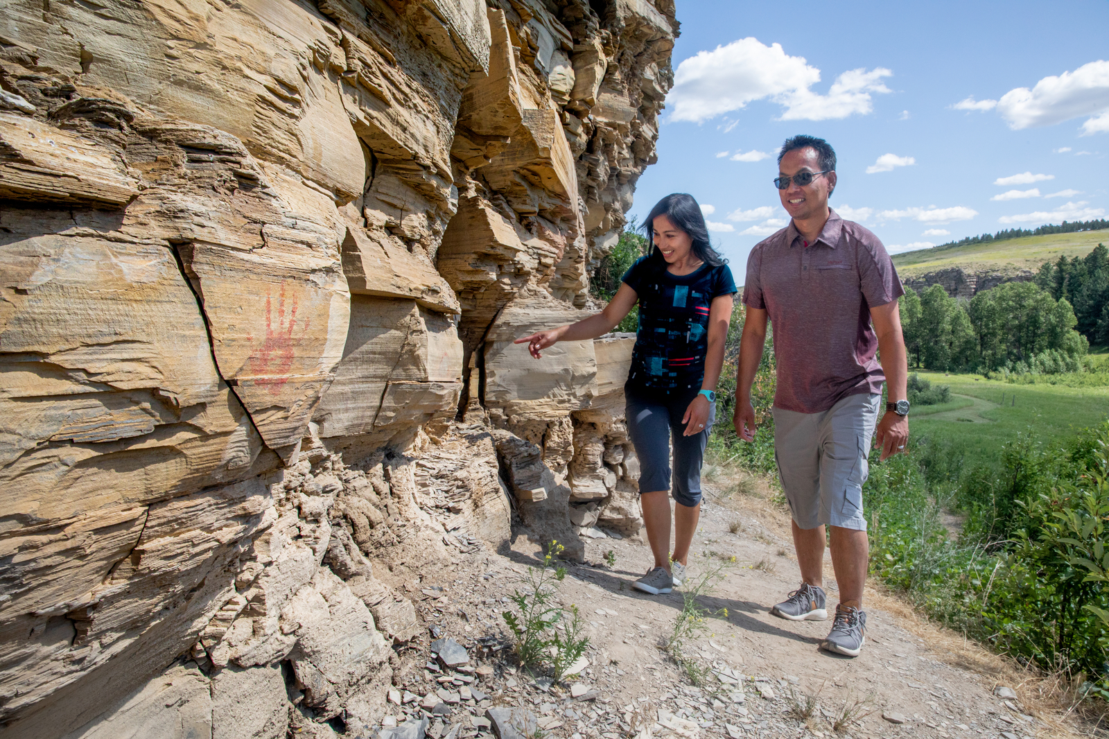 See Creatures