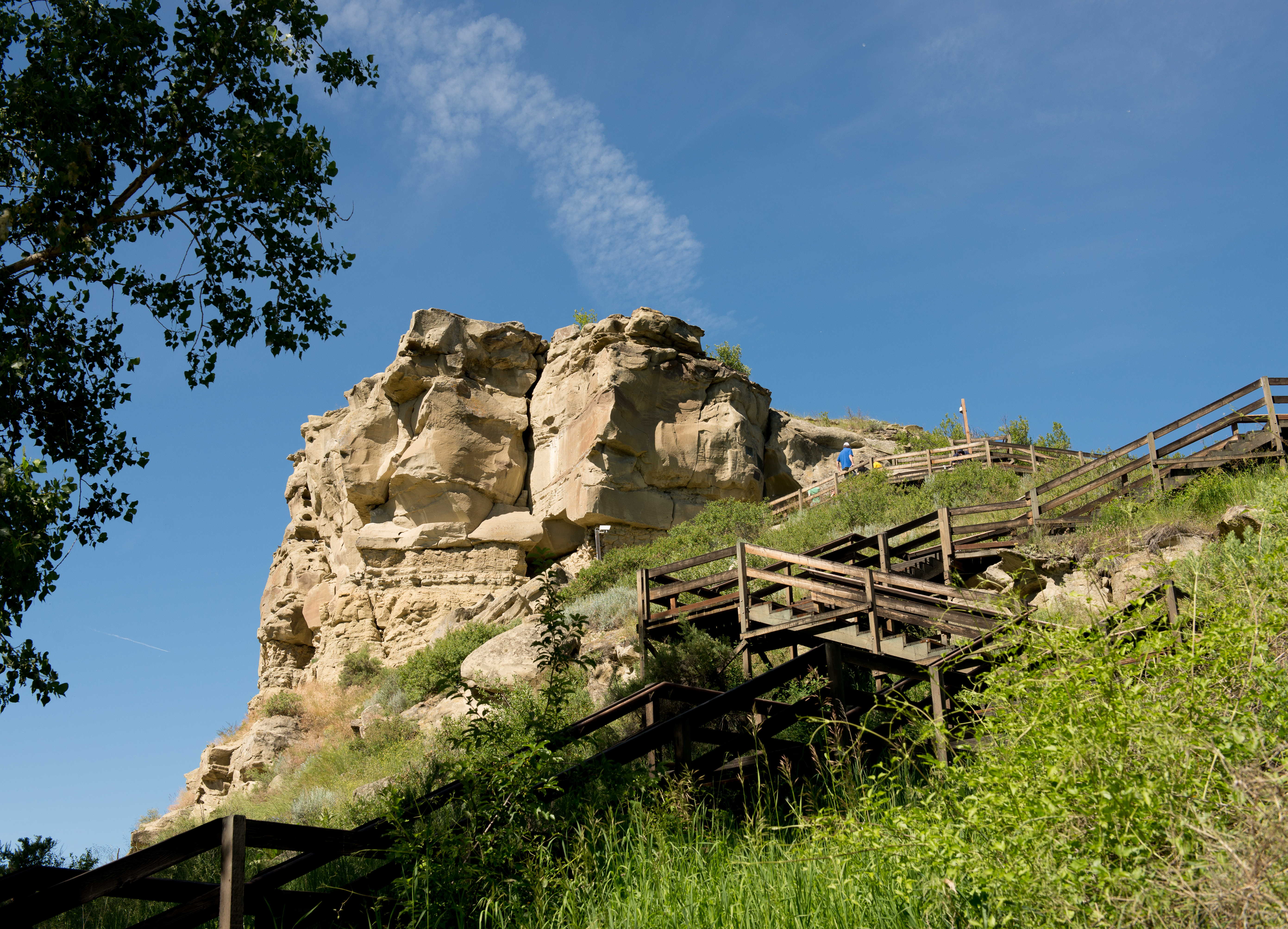 Bighorn and Beyond