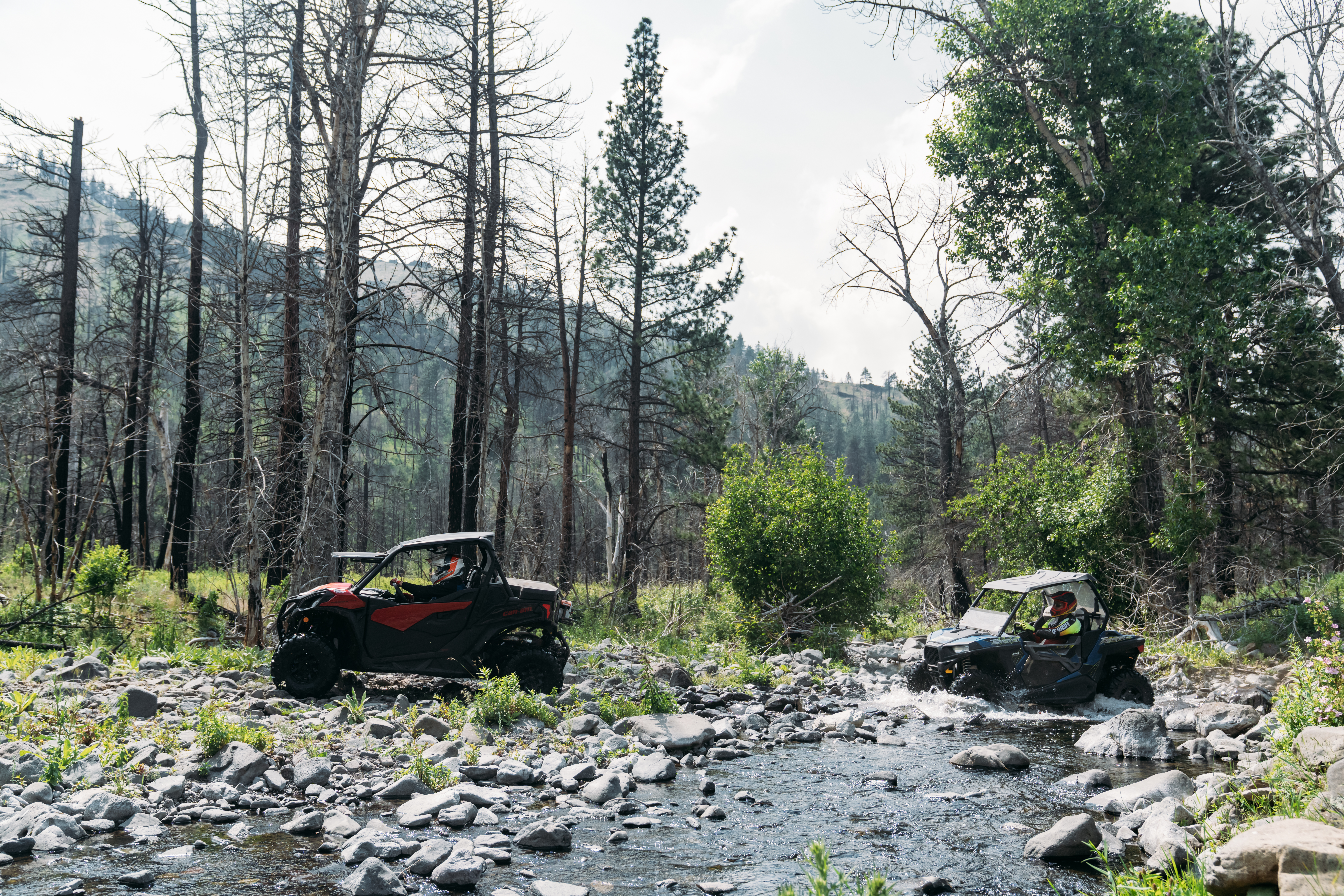 Ride Montana: Where To OHV This Summer