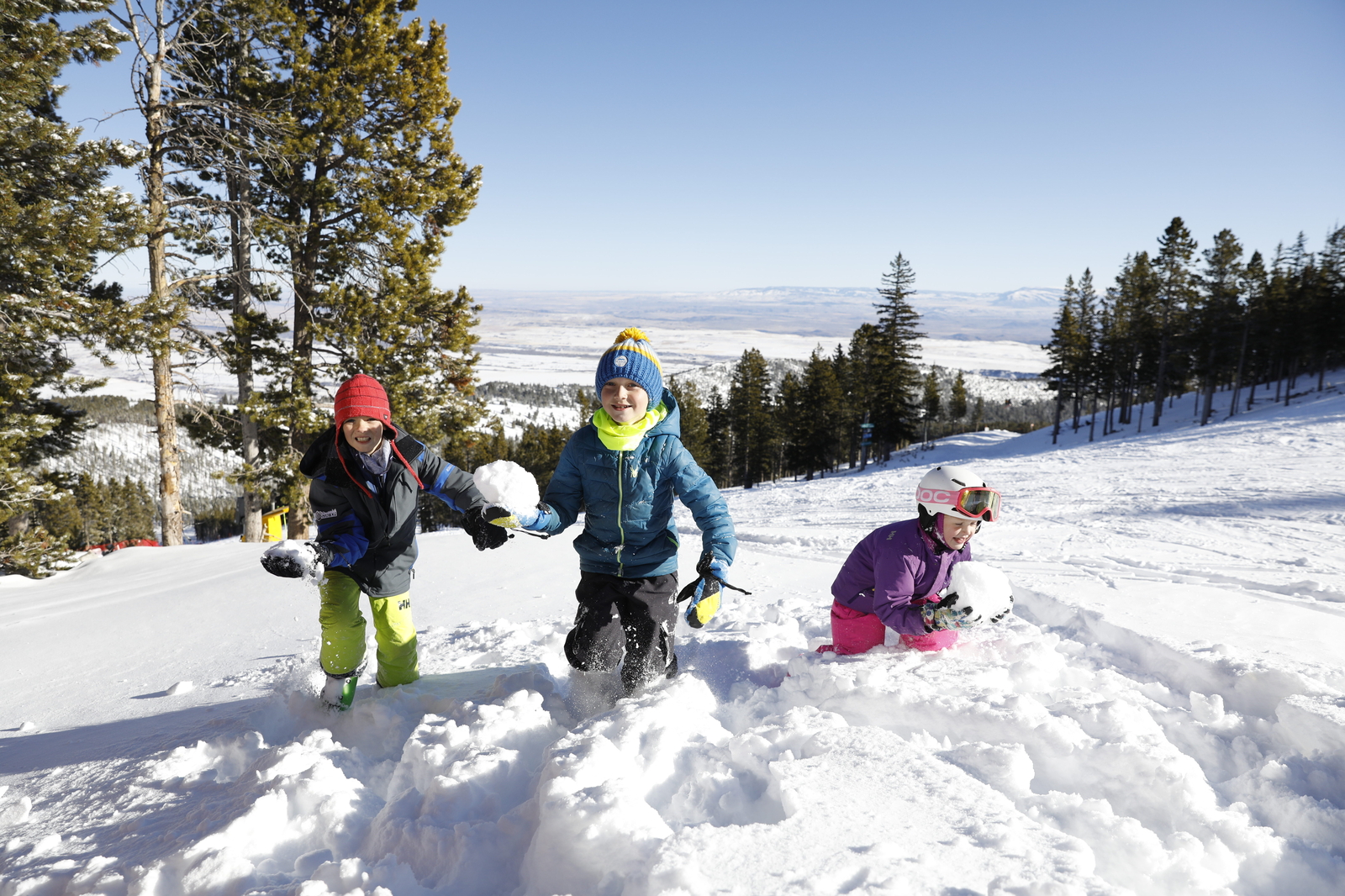 Photo of Montana