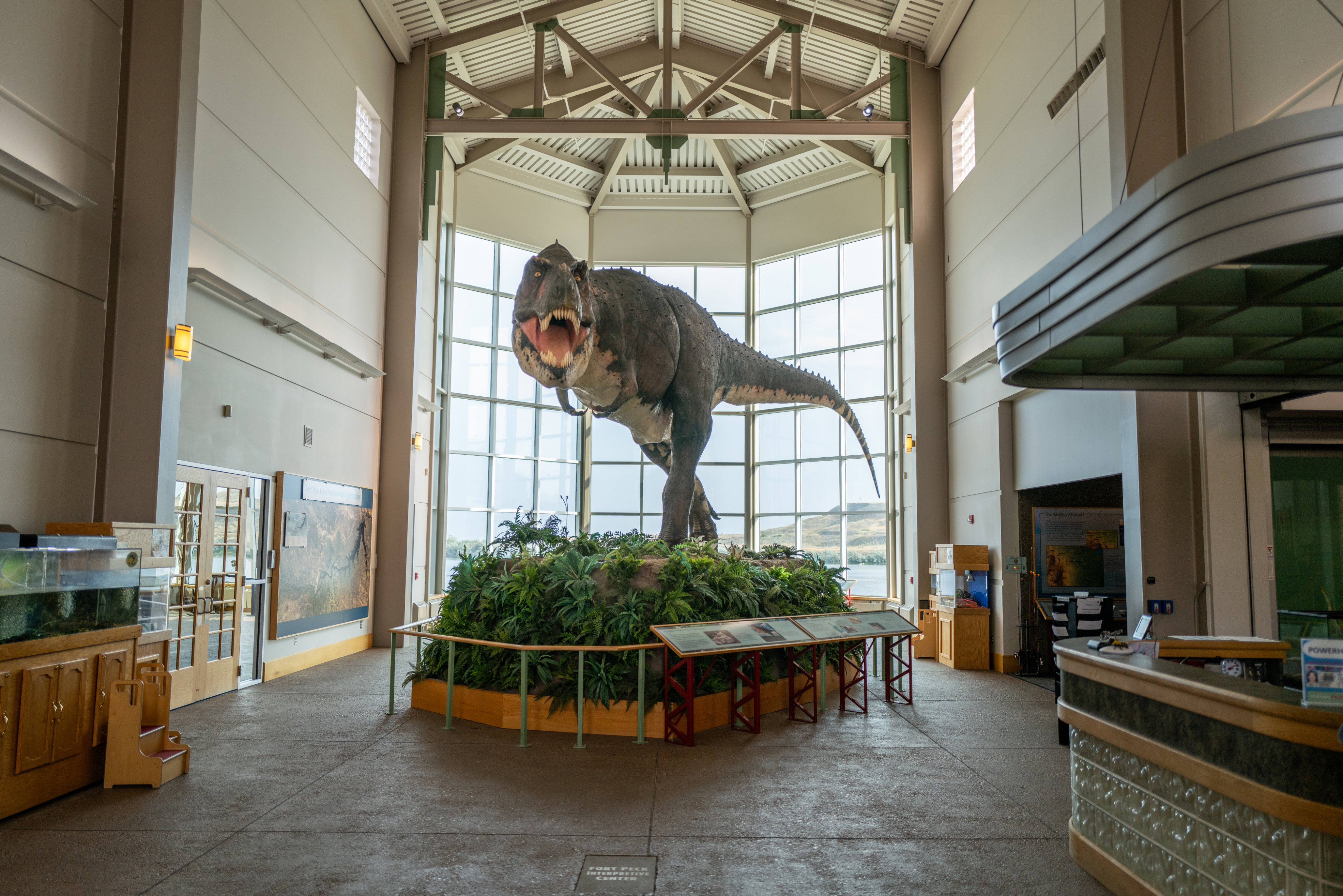 Dinosaur Discovery Tour